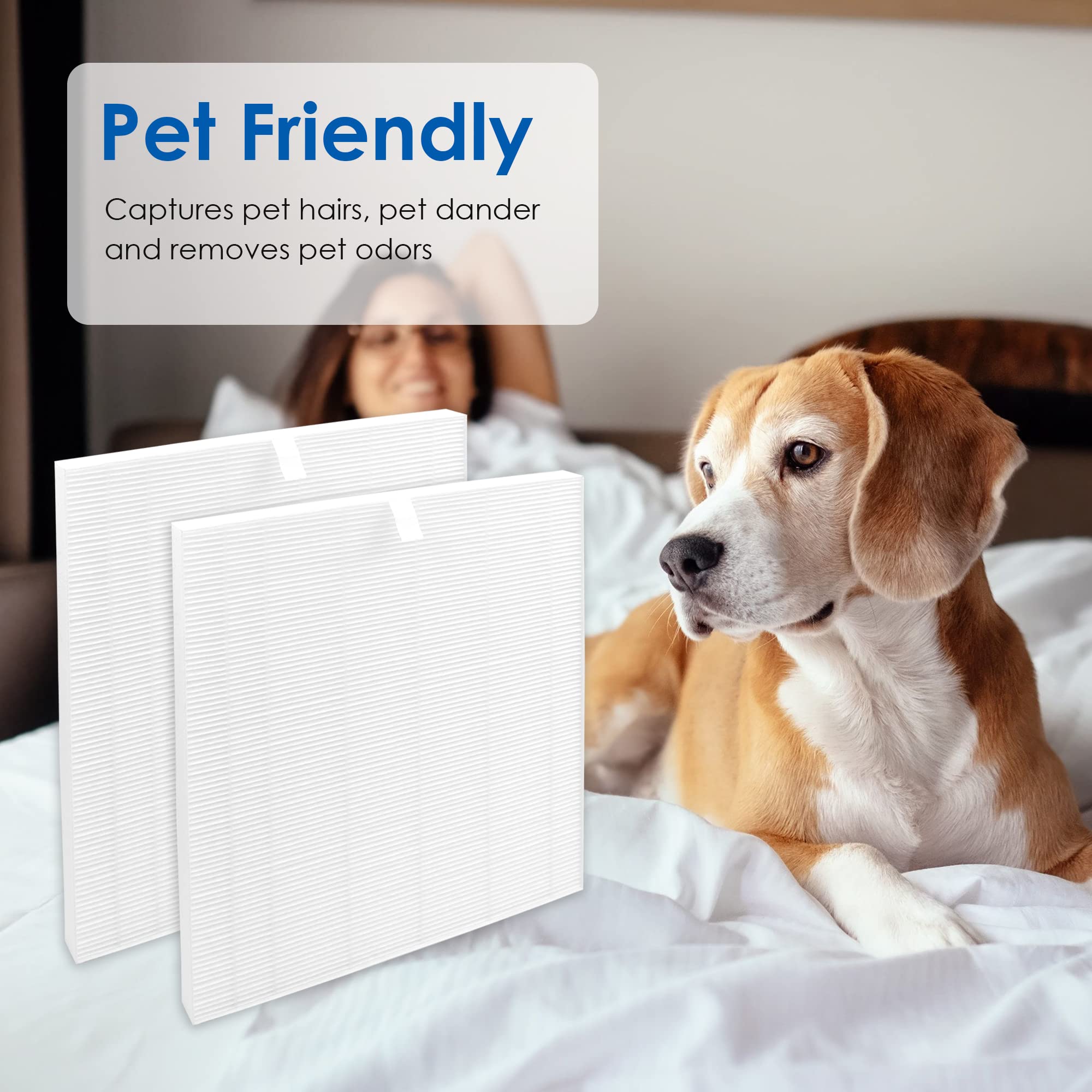 Flintar C545 Replacement Filter S, Compatible With Winix C545 Air Purifier, Part Number 1712-0096-00, H13 Grade Air Filters, 2-P