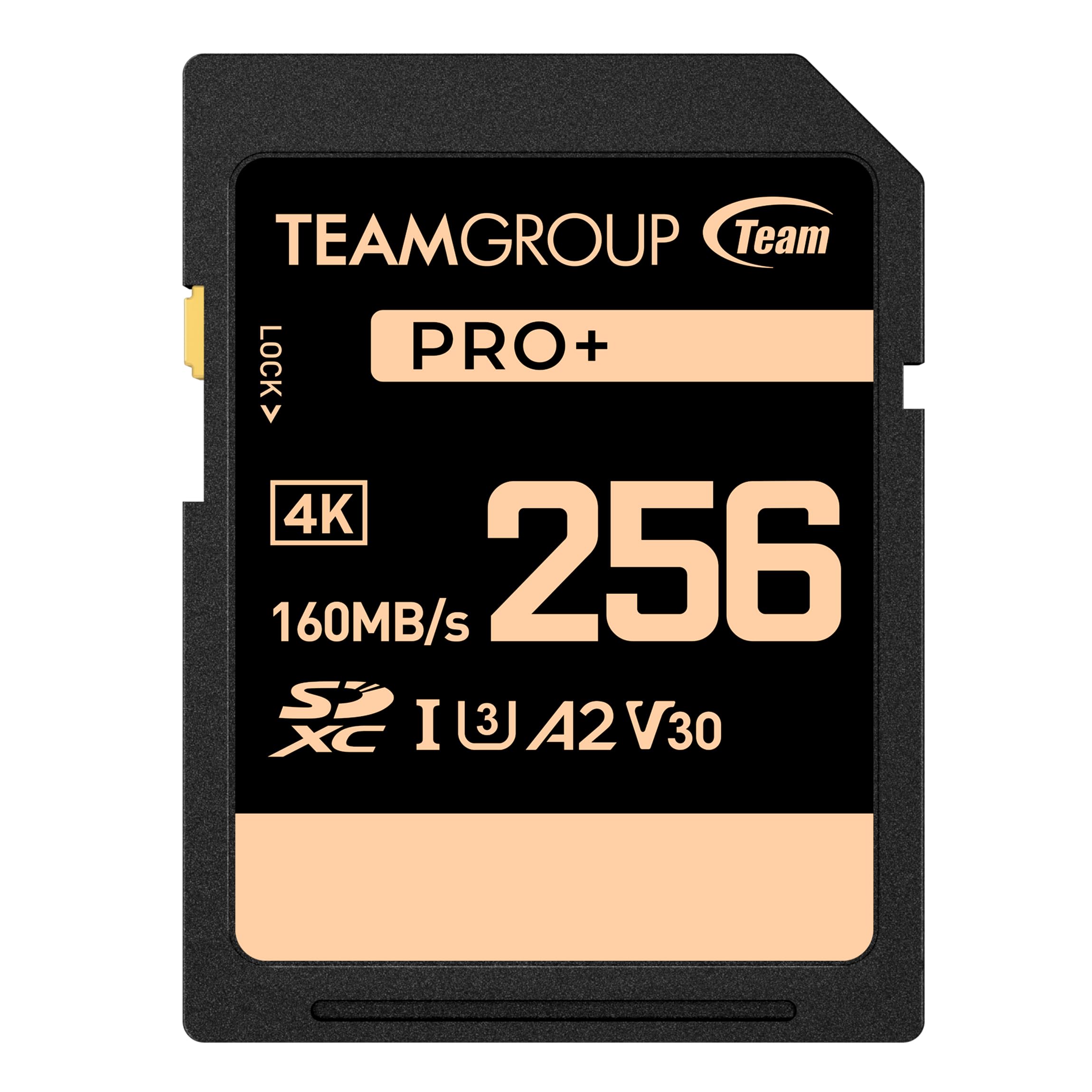 Teamgroup Pro 256Gb Uhs I U3 A2 V30 4K Uhd Read/Write Speed Up To 160/120Mb/S Sdxc Memory Card For Professional Vloggers, Filmmakers, Photographers & Content Curators Tppsdx256Gia2V3001