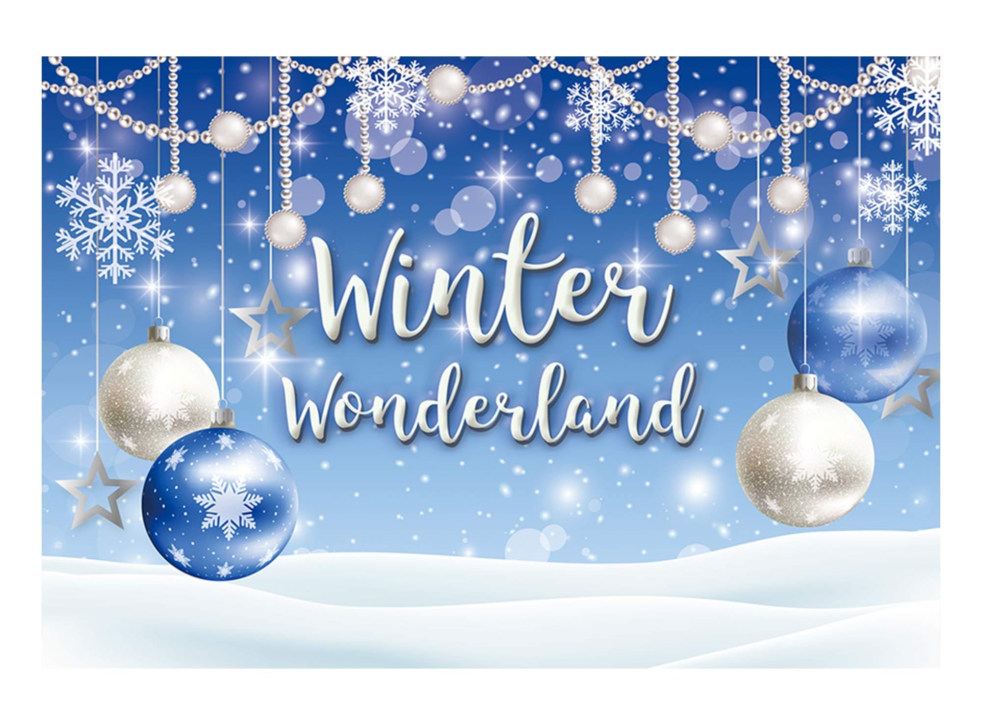 Funnytree 7X5Ft Winter Wonderland Backdrop Blue Boy Baby Shower Birthday Party Christmas Snowflake Snow Landscape Photography Ba