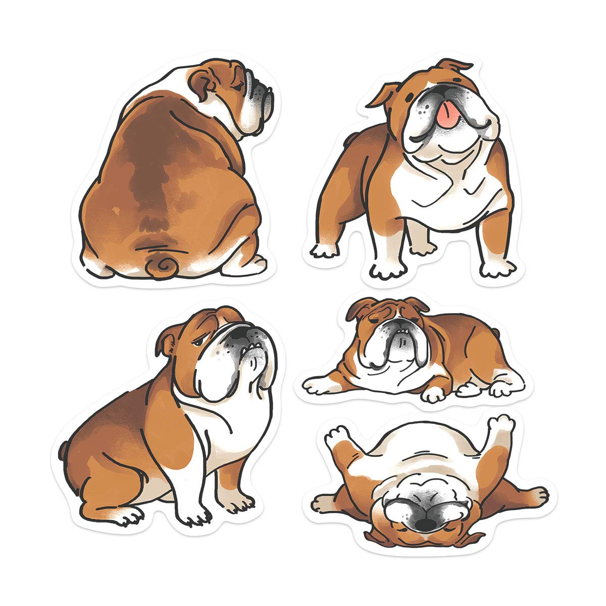 Fincibo 5 X 5 Inch English Bulldog Funny Playful Postures Removable Vinyl Decal Stickers For Ipad Macbook Laptop (Or Any Flat Su