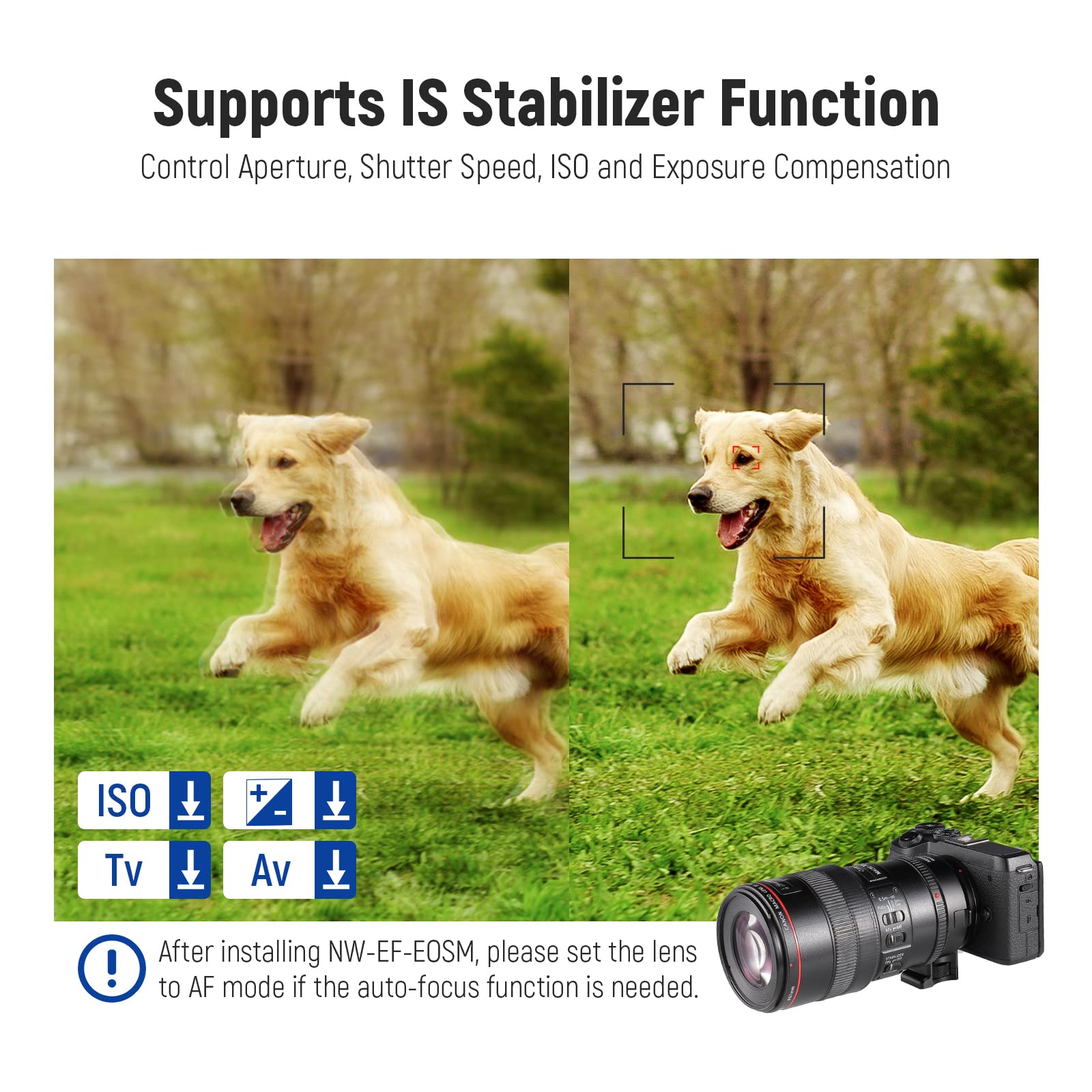 Neewer Ef To Eos M Mount Adapter, Ef/Ef-S Lens To Eos M Camera Autofocus Converter Ring With Removable Tripod Mount, Compatible