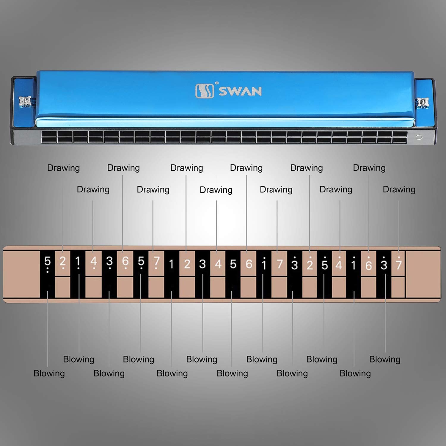 Harmonica Mouthorgan Harp Armonica 24 Hole Polyphony Diatonic Mouth Organ Key Of C With Case For Blues Folk Jazz Pop Music Instr