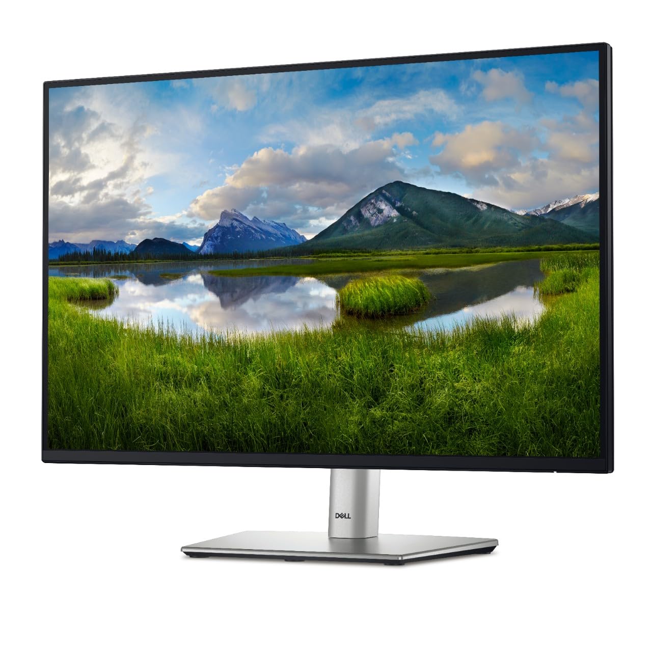 Dell P2425 24 Wuxga (1920X1200) 16:10 Pc Display, 100Hz, Ips, 5Ms, 99% Srgb, Usb-C, Displayport, Hdmi, Vga, 4X Usb, 3 Year Warra