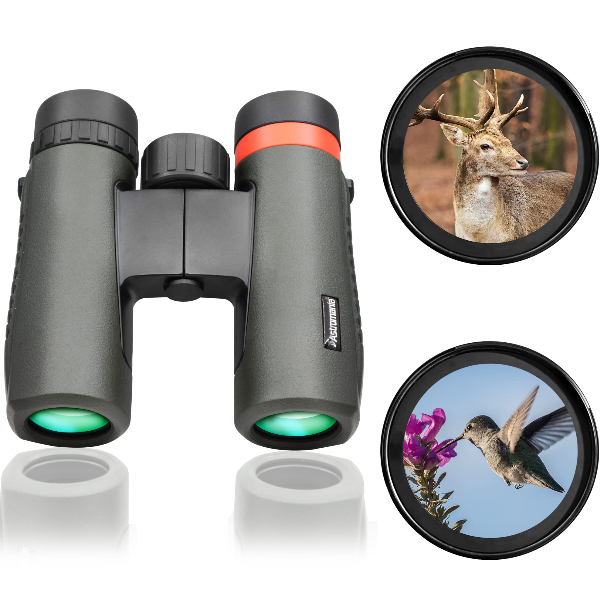 Astromania 10X26 Waterproof Compact Binoculars For Traveling, Wildlife, Camping And Sport Games, Theater And Concerts, Bird Watc
