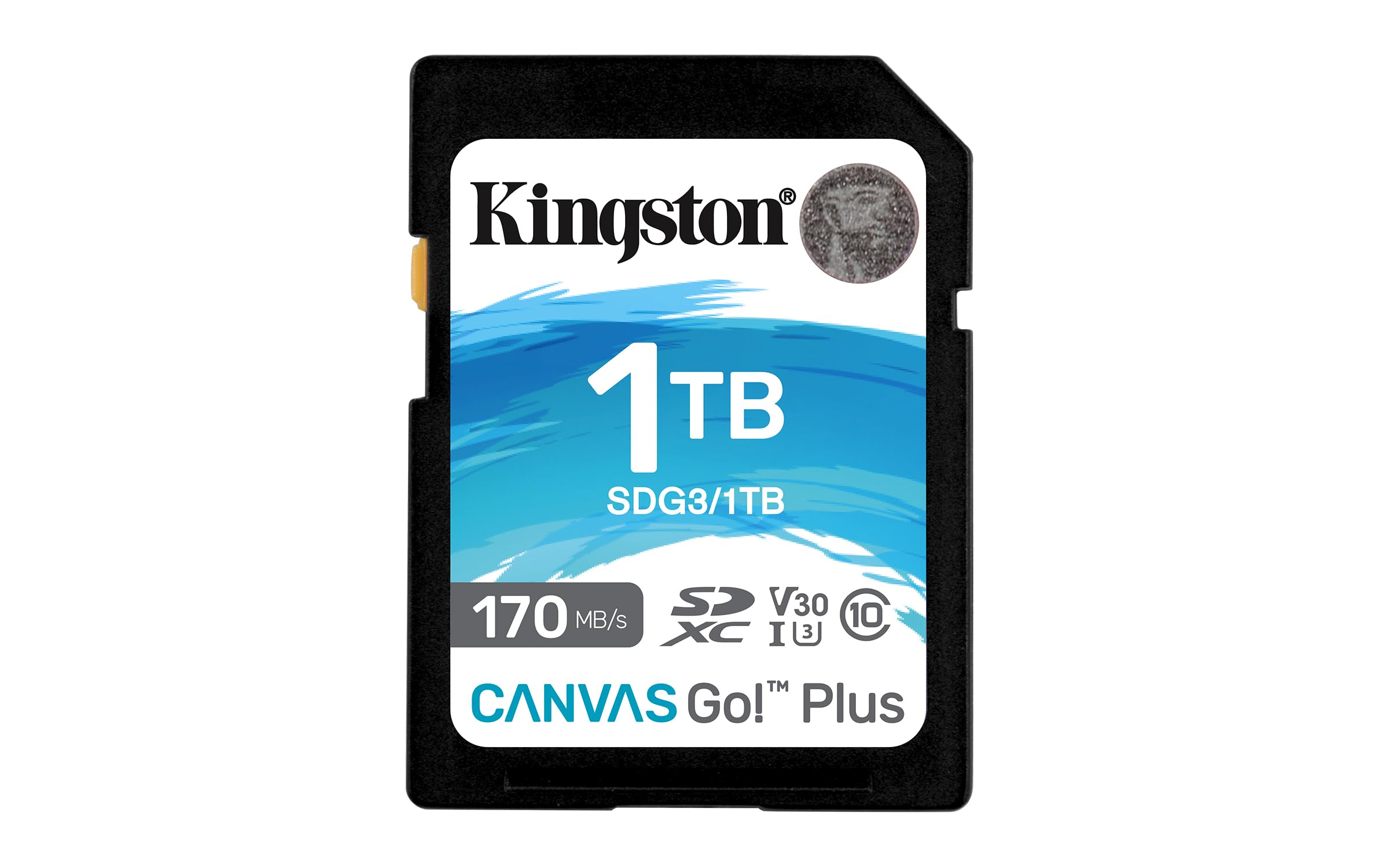 Kingston 1Tb Canvas Go Plus Microsdxc Card | Up To 170Mb/S | Class 10, Uhs I, U3, V30, A2 | Sdcg3/1Tb