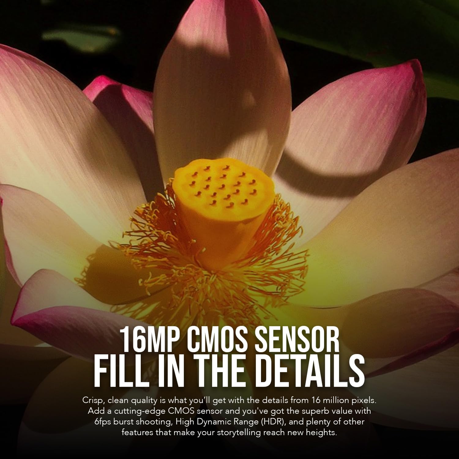 Kodak Pixpro Az528 16Mp Astro Zoom Digital Camera With 52X Optical Zoom (Black) Bundle With 128Gb Sd Card And Rechargeable Batte