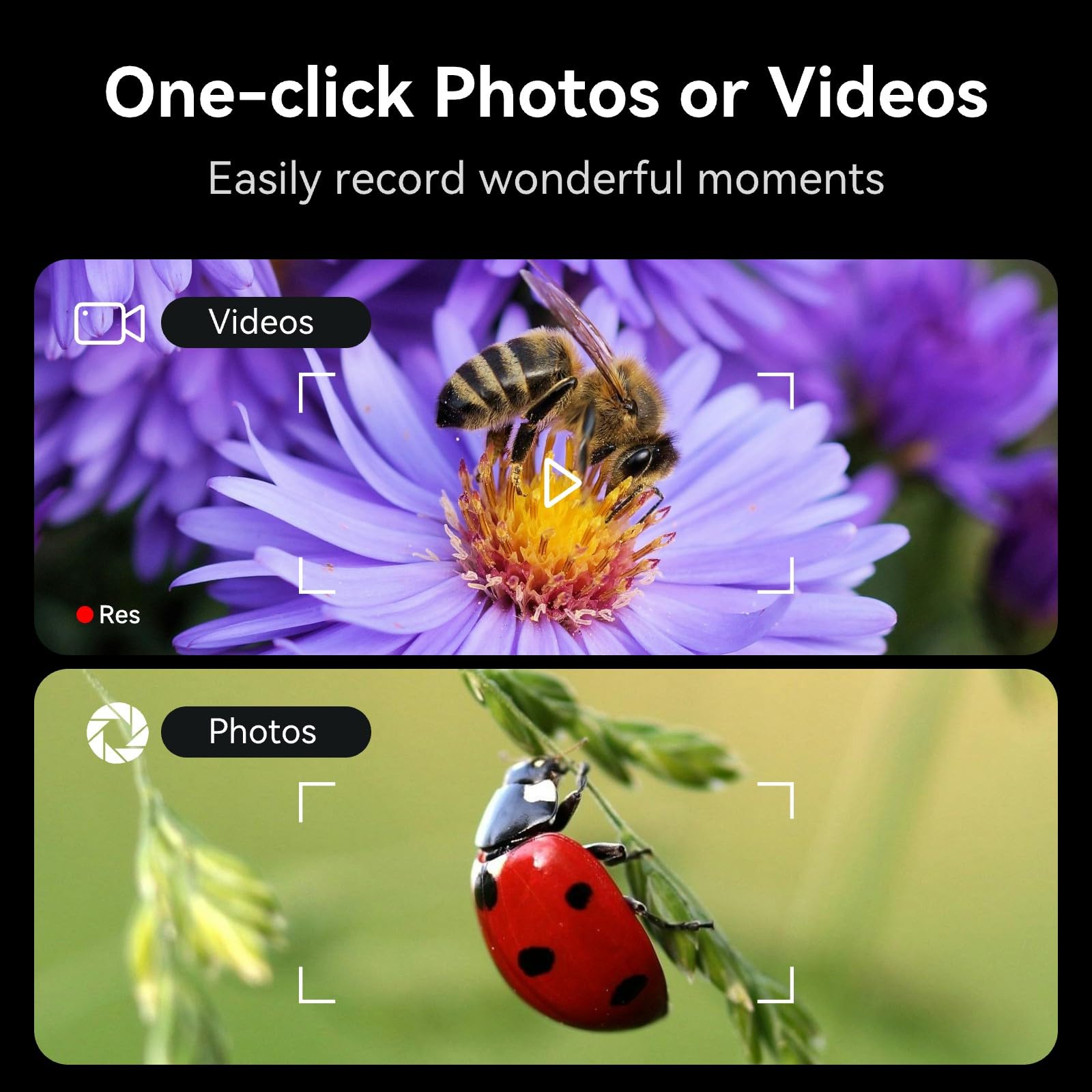 Mini Pocket Microscope For Kids Adults, Kids Microscope, Handheld Wireless Digital Microscope With Adjustable Led Lights Portabl