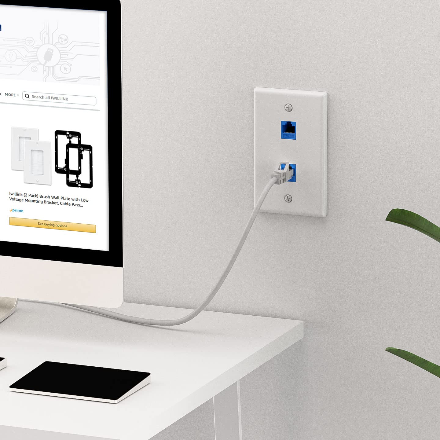 Iwillink (2 Pack) 2 Port Ethernet Wall Plate, Keystone Jack Wall Plate With Rj45 Keystone Inline Coupler Insert, Female To Femal