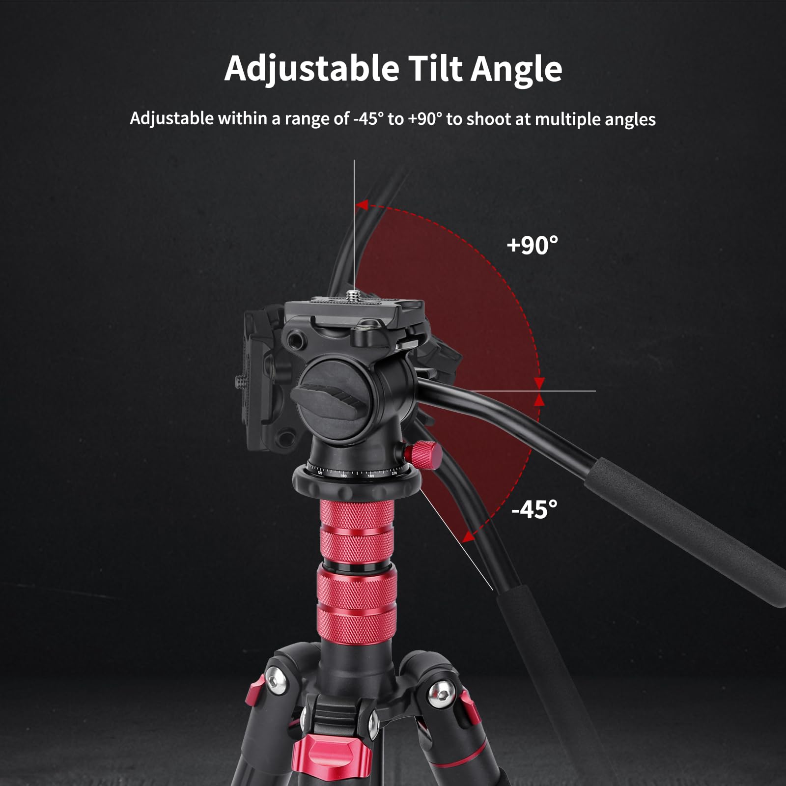 AVELLA Tripod Fluid Head V502 - Pan Tilt with Arca Quick Release Plate, Black, for DSLR & Video Cameras, Supports up to 6.6lb