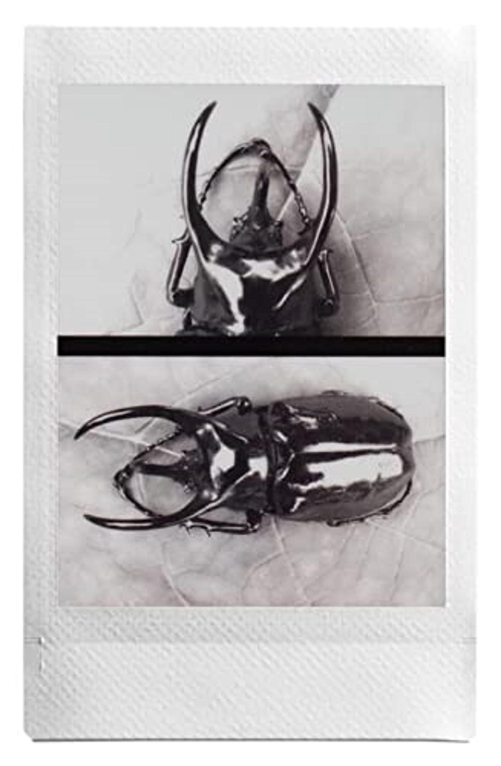 Instax Hybrid Instant Camera, Black, Mini