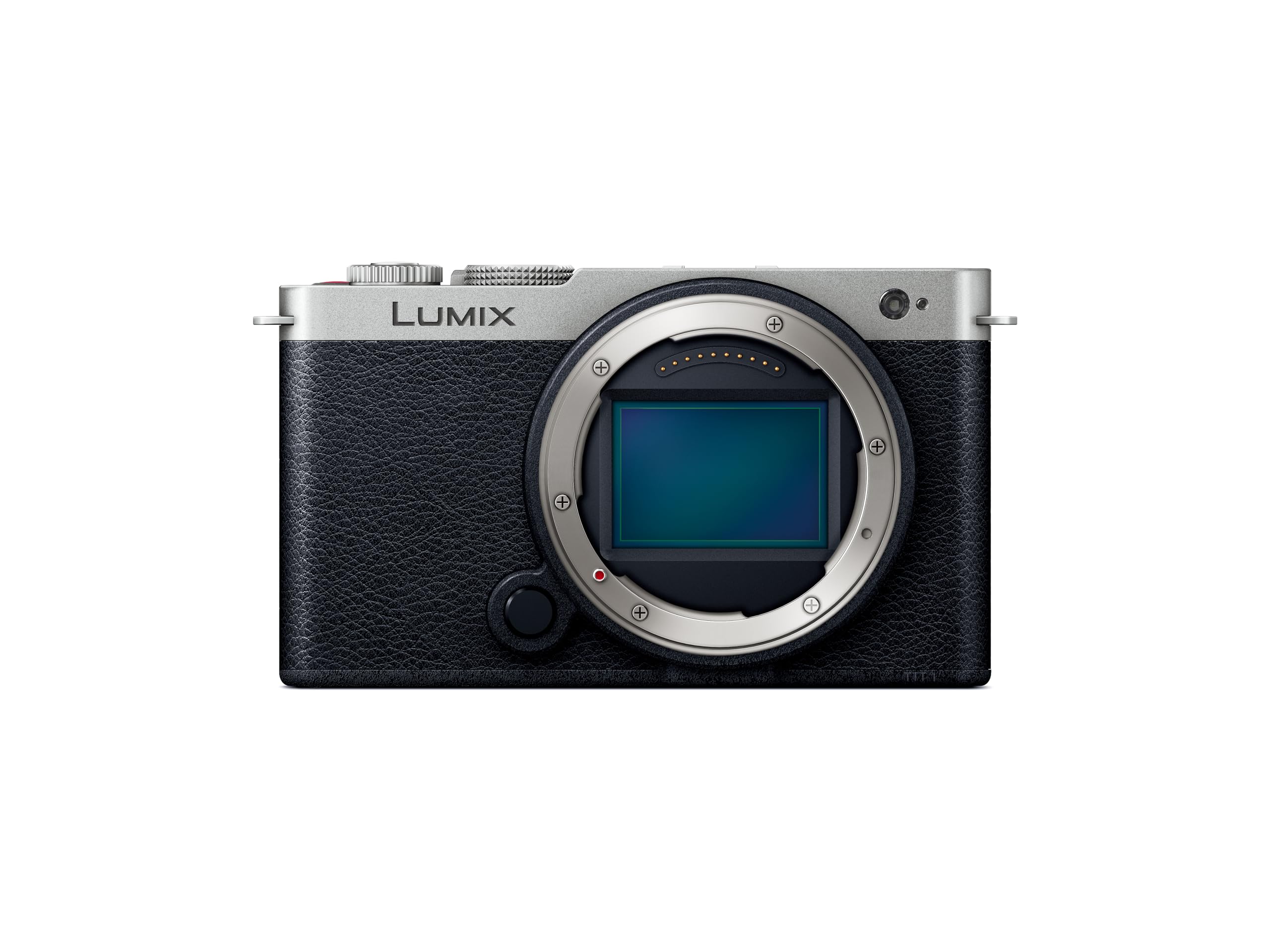 Panasonic LUMIX S9 Mirrorless Camera, DC-S9BODYS (Silver) (International Model)