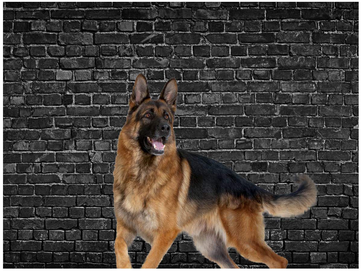 Aiikes 8X6Ft Brick Backdrop Black Brick Wall Photography Backdrop Vintage Theme Stone Brick Design Photography Backdrop Baby Bir