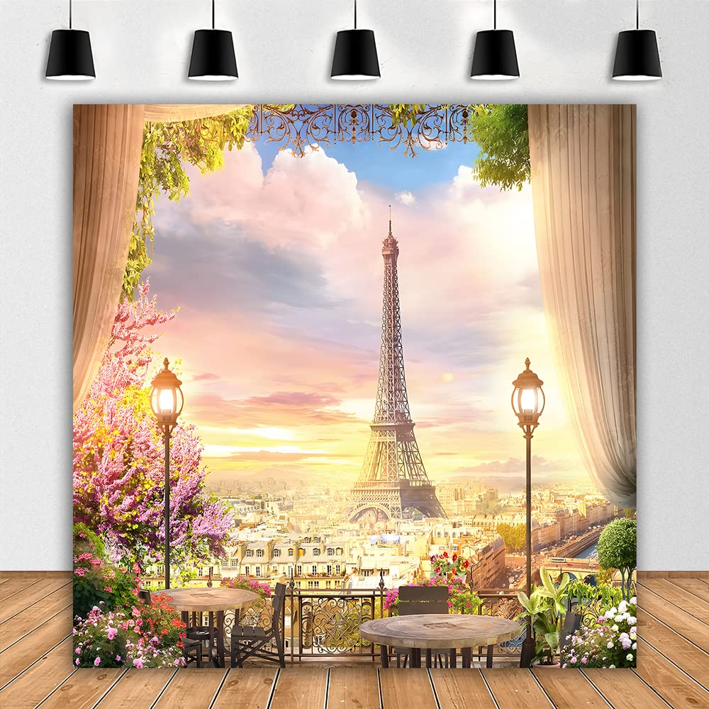 Yieldeer Paris Eiffel Tower Photography Backdrop 6X6Ft Polyester Bride Shower Wedding Garden City Landscape Aerial Balcony Backg
