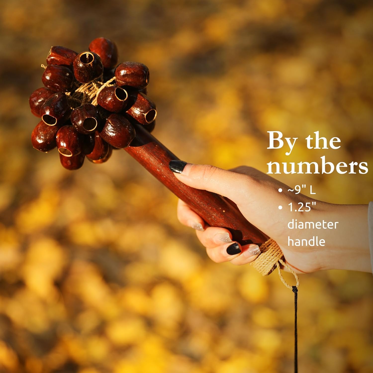 Meinl Sonic Energy Seed Shell Shaker Percussion Instrument - Nature Sounds For Meditation, Asmr, Sound Therapy, Yoga