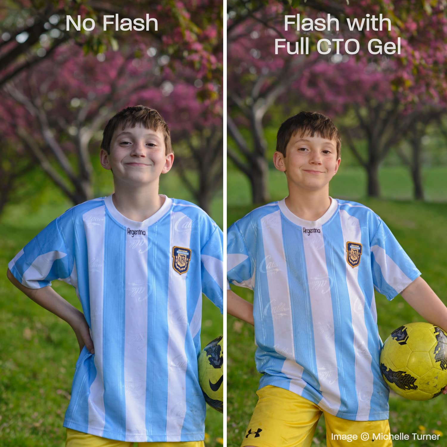 Rogue Round Flash Kit + Rogue Flash Adapter (Small)