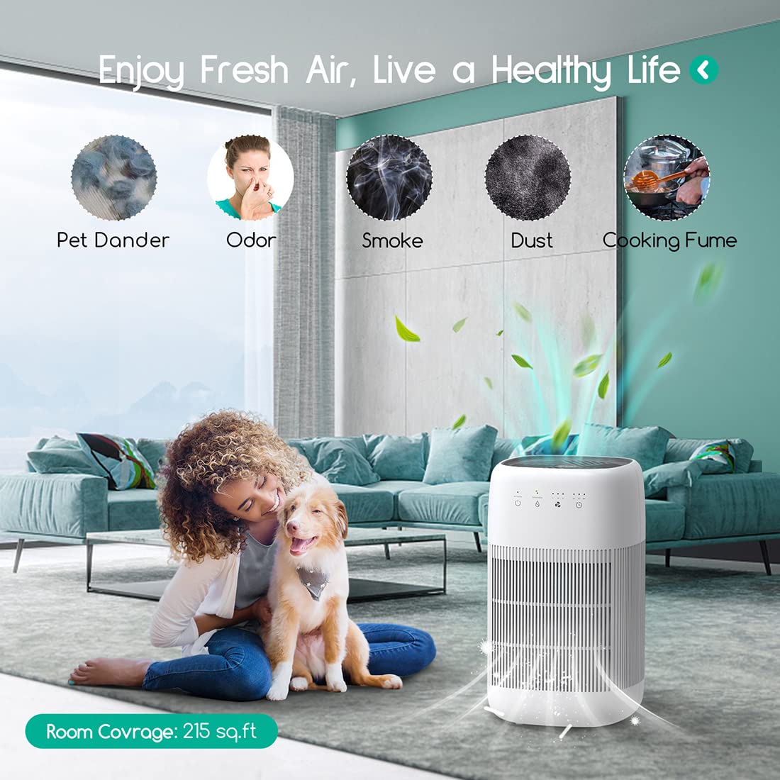 Afloia Air Purifier And Dehumidifier In 1, Air Purifier With Efficient Filter, Small Dehumidifier Combined With Air Cleaner, Rem