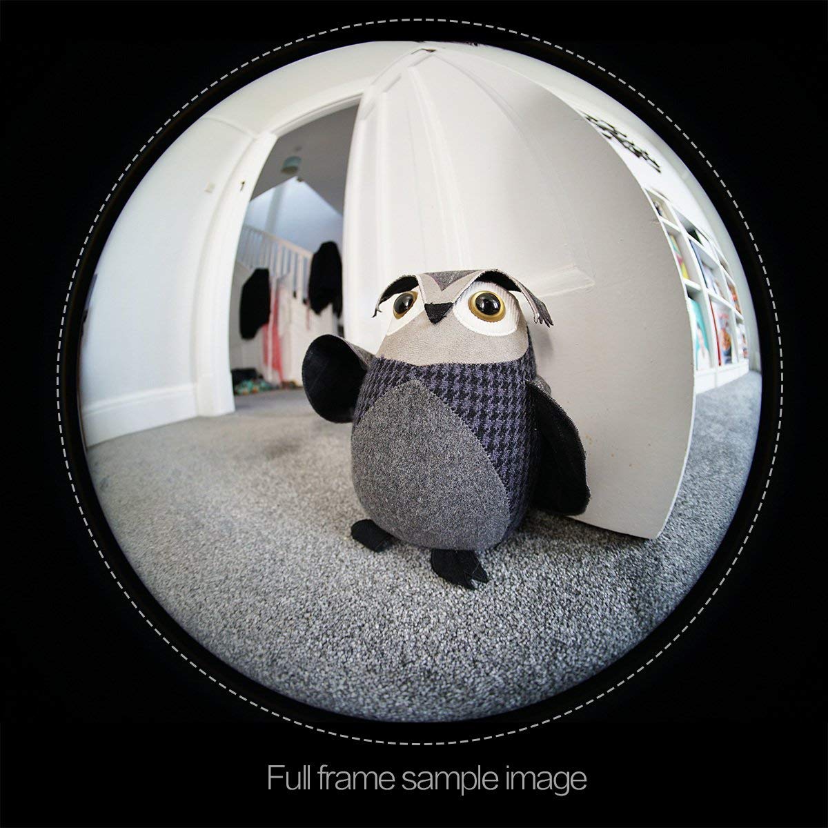 Meke 6.5Mm F2.0 Ultra Wide Fisheye Lens For Sony A9 A7Iii A7Riii A6400 A6500 A6000 A6100 A6300 Nex3 Nex5 Nex6 Nex7 A7Ii A7Sii A7