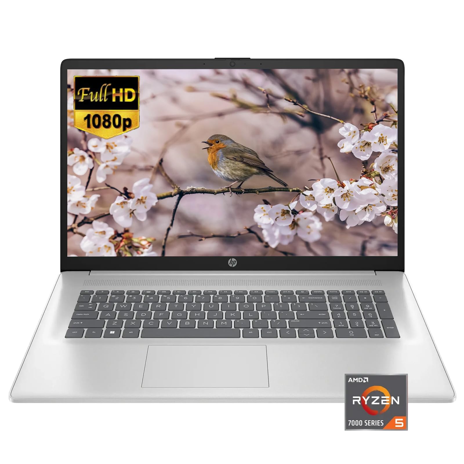 Hp 17.3'' 1920 X 1080 (Full Hd) Laptop, Amd Ryzen 5 7430U(6 Core), Amd Radeon Graphics, 16Gb Ddr4 Ram, 1Tb Ssd, Hdmi, Wi-Fi 6, B