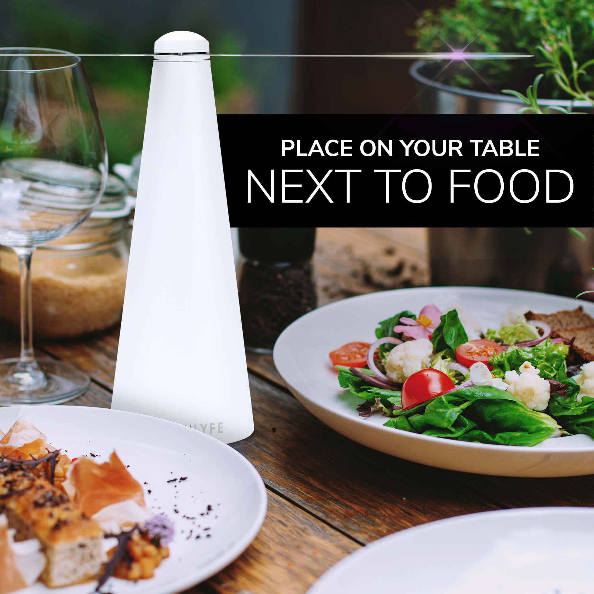 Fly Fans For Tables By Modern Lyfe - Aa Battery & Usb Powered - Fly Swatter Outdoor Camping Accessory Or For Food At Parties, Re