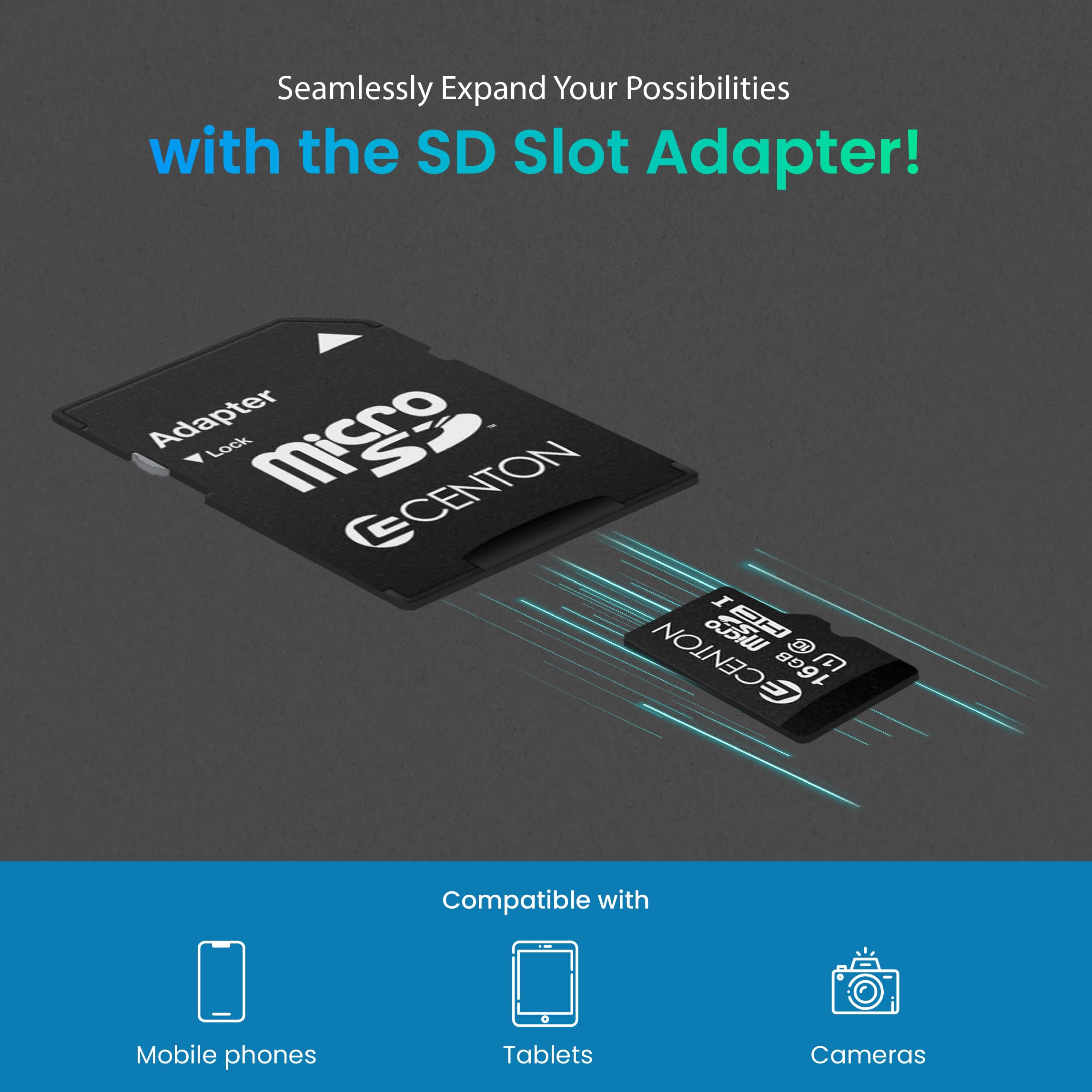 Centon Electronics 16Gb Memory Card (S1 Msdhu1 16G)