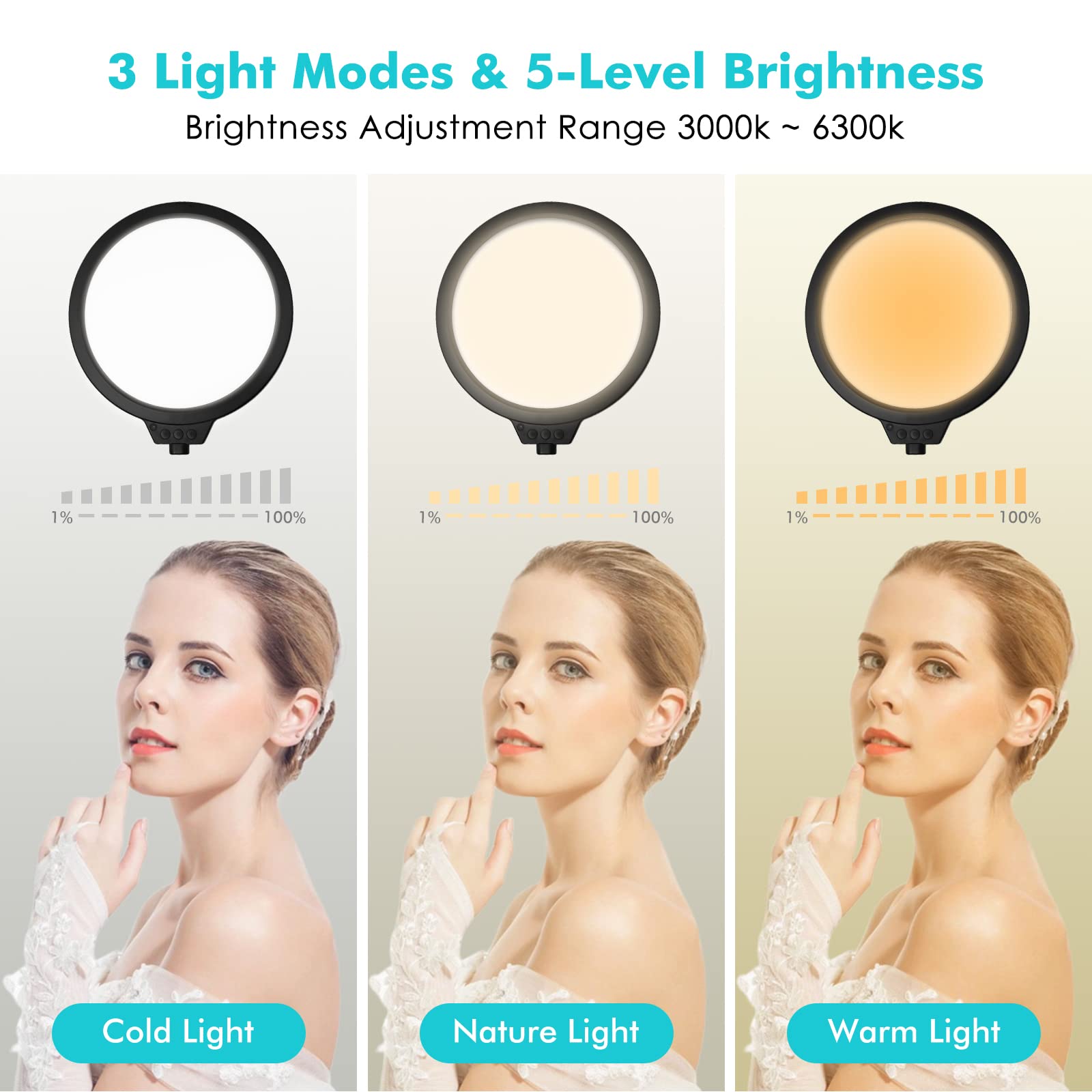 Viozon Selfie Desktop Live Stand Set 6 In 1 10 Led Ring Light Microphone Mount Compatible With 12 17 Laptop17 32 Monitor7 13 Tab