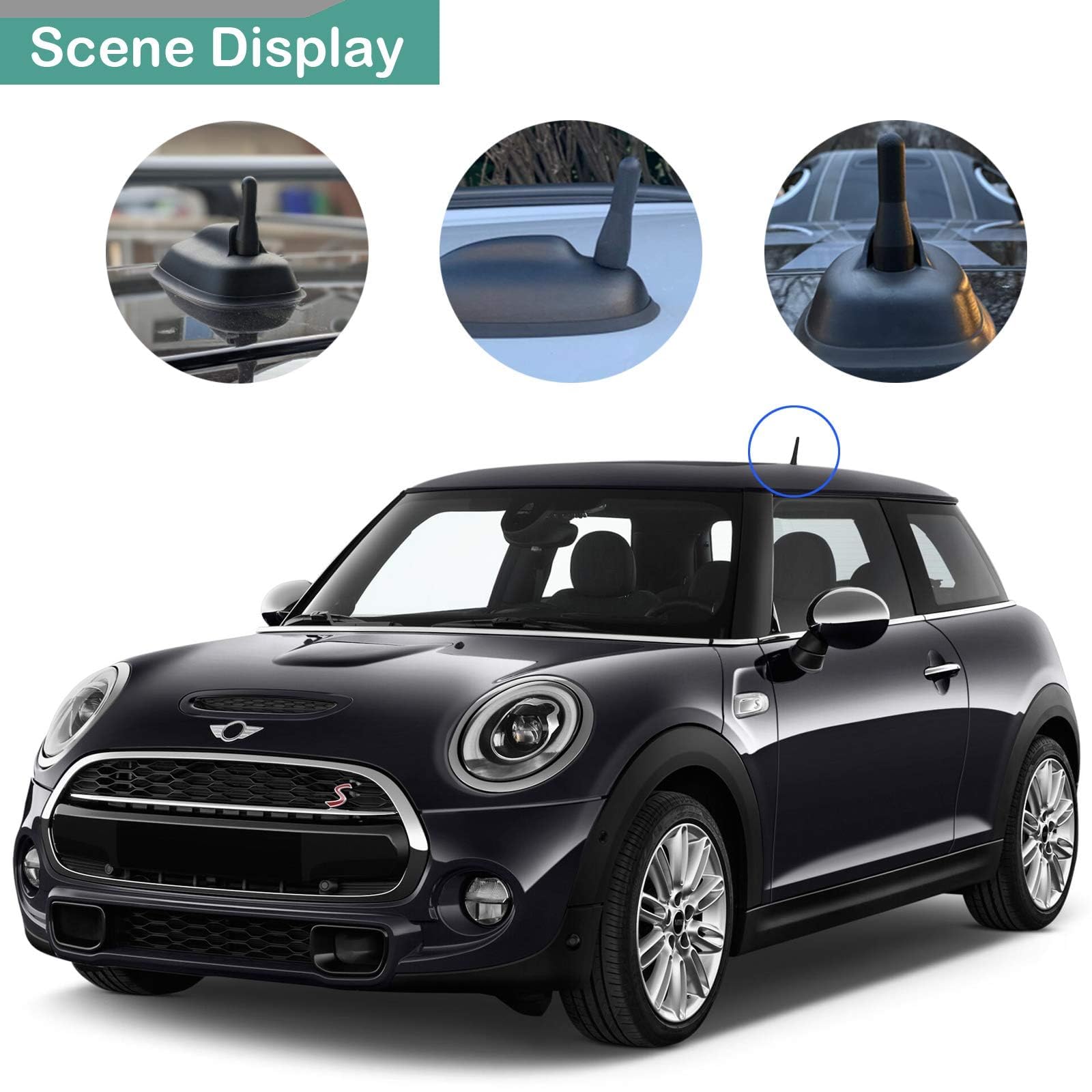 Anina 2.5 Inch Stubby Antenna Mast Compatible With 1998 2019 Mini Cooper/Countryman Bmw Z3/Z4/128I Vw Polo/Golf Am/Fm Radio Antenna Car Wash Proof