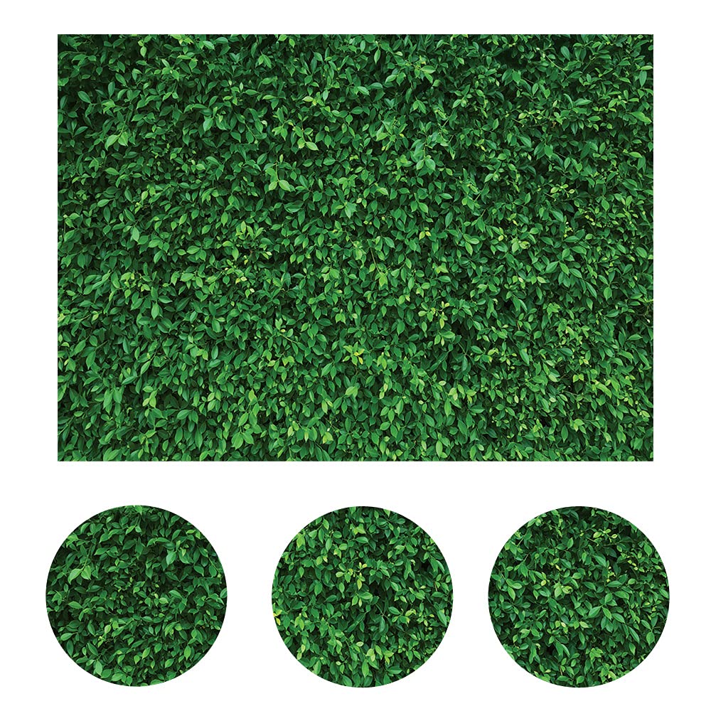 Lywygg 5X3Ft Green Leaves Photography Backdrops Mmicrofiber Nature Backdrop Birthday Background For Birthday Party Seamless Phot