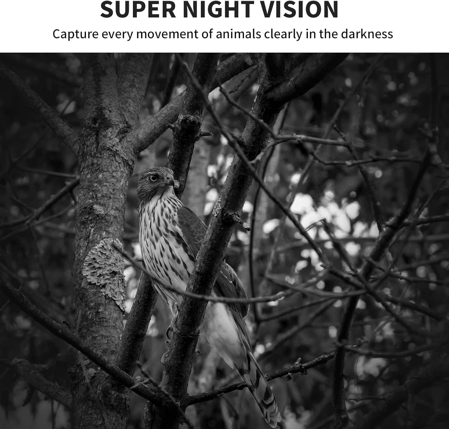 Wosports Mini Trail Camera 2 Pack, 24Mp 1080P Hd Game Camera With Sd Card And 8Aa Batteries, Fast Trigger Time Infrared Night Vi