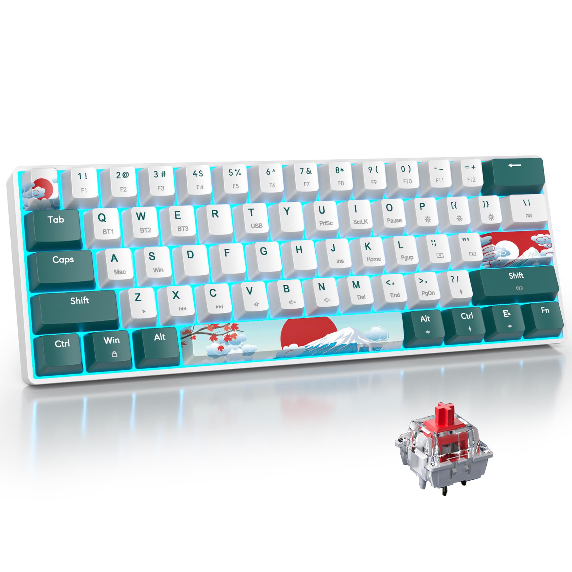 Surmen Wireless Keyboard 60% Gaming Keyboard 60 Percent, Hot Swappable Rgb Mini Bluetooth Bt5.0/Usb C Mechanical Keyboard With S