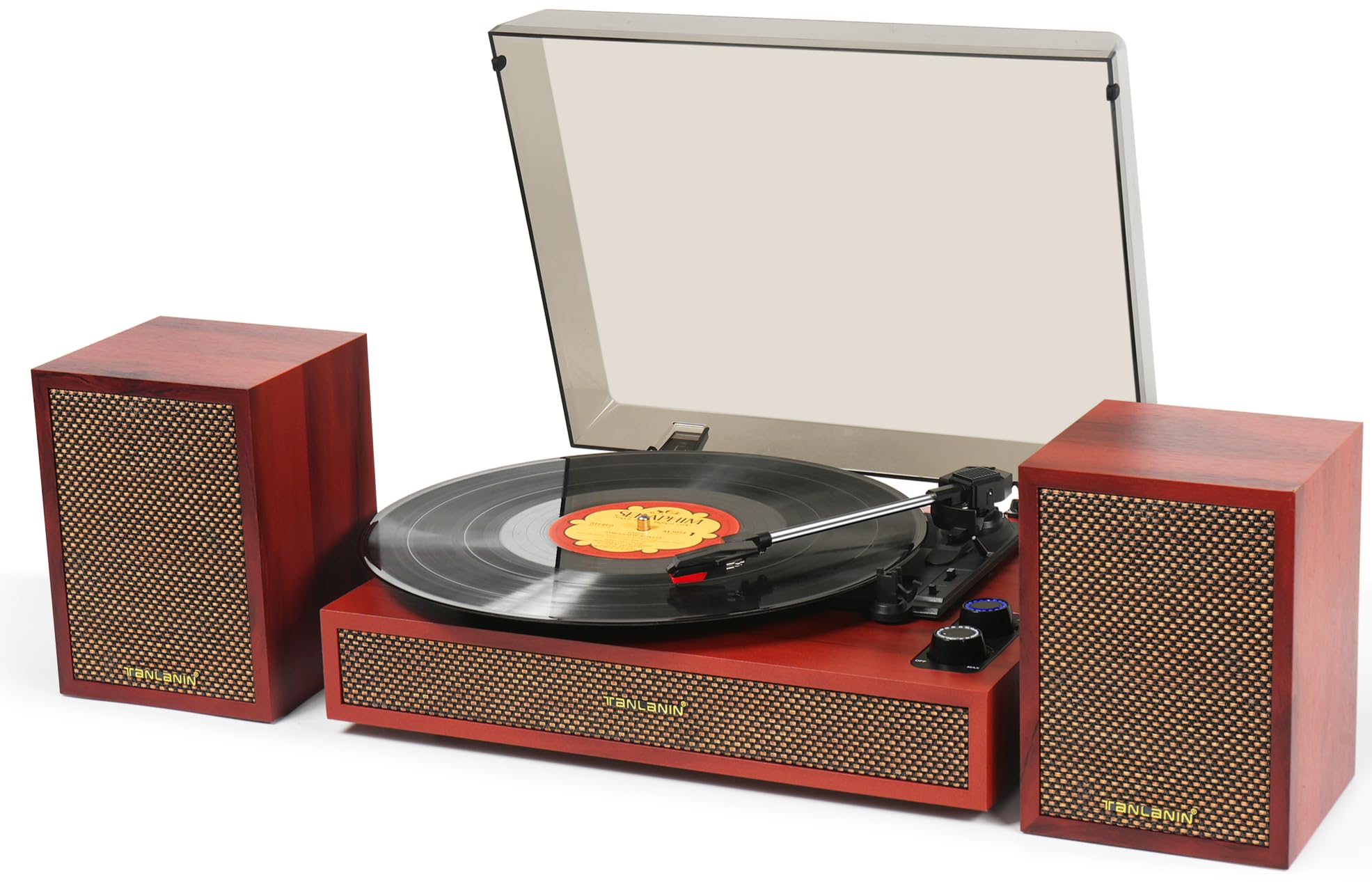 Vinyl Record Player with Dual External Speakers, 3 Speed Vintage Stereo Turntable for Vinyl Records, Bluetooth Input, Auto Stop
