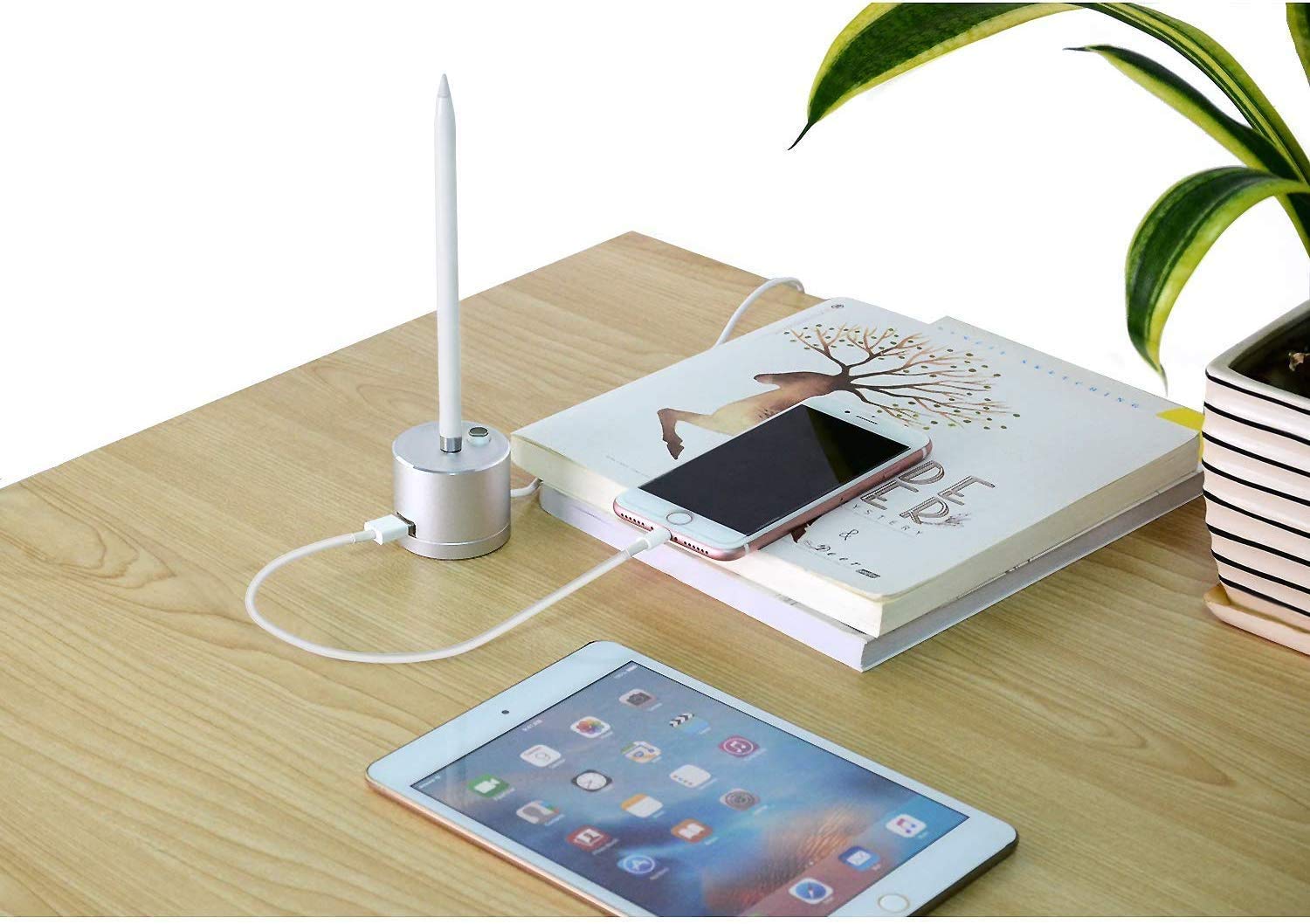 Techmatte Charging Stand Compatible With Apple Pencil 1St Generation- Premium Aluminum Charging Dock With Built-In Charging Cabl