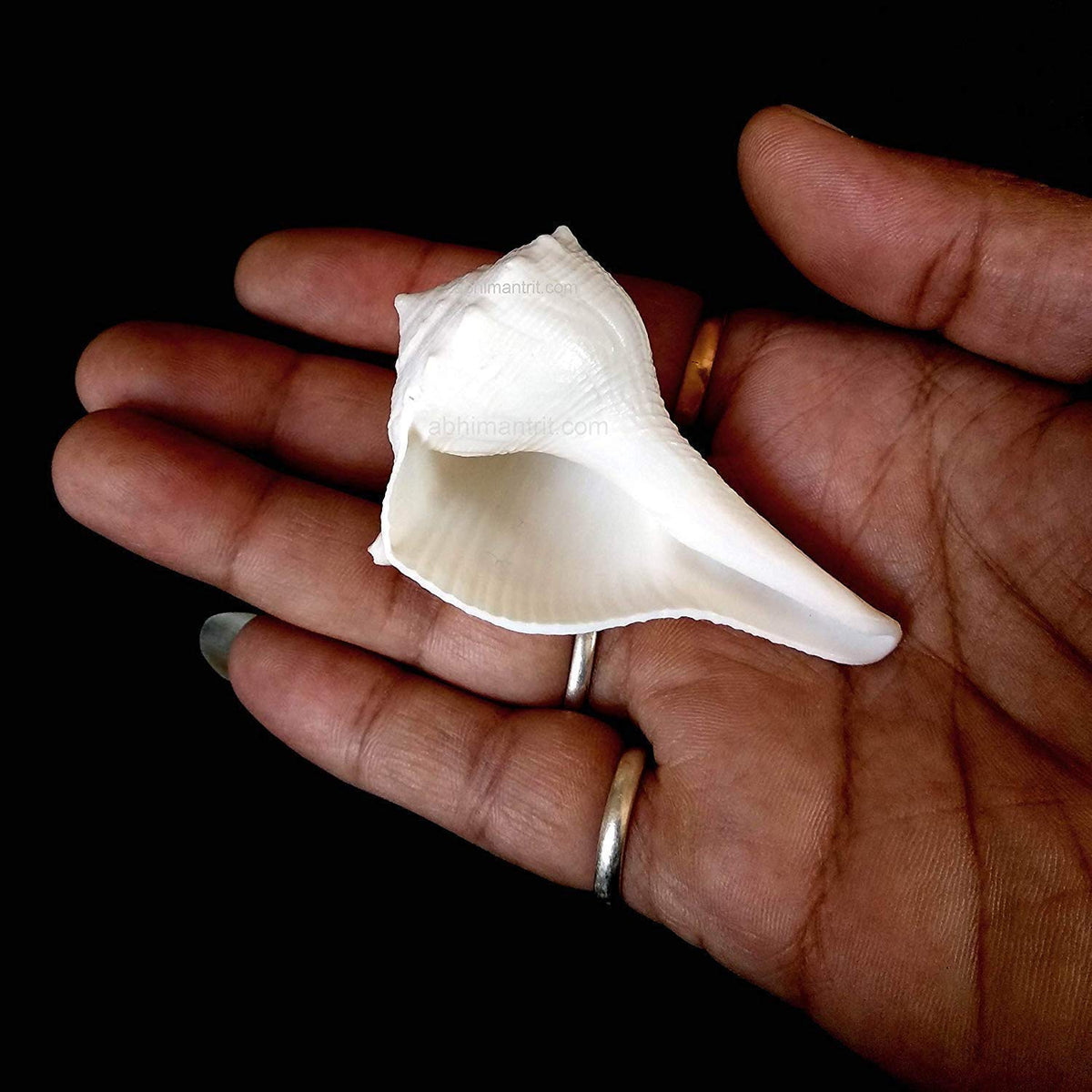 Abhimantrit Dakshinavarti Shankh White Valampuri Sangu Pooja Shankh Original Right Hand Lakshmi Conch Rare For Worship Hindu Rel