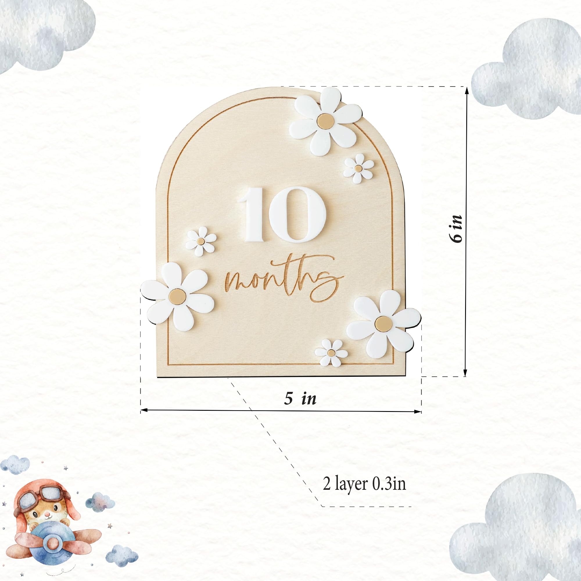 Daisy 3D Baby Monthly Milestone, Wooden Baby Milestone Signs, Monthly Milestone Wood Discs, Baby Milestone Discs (Daisy)