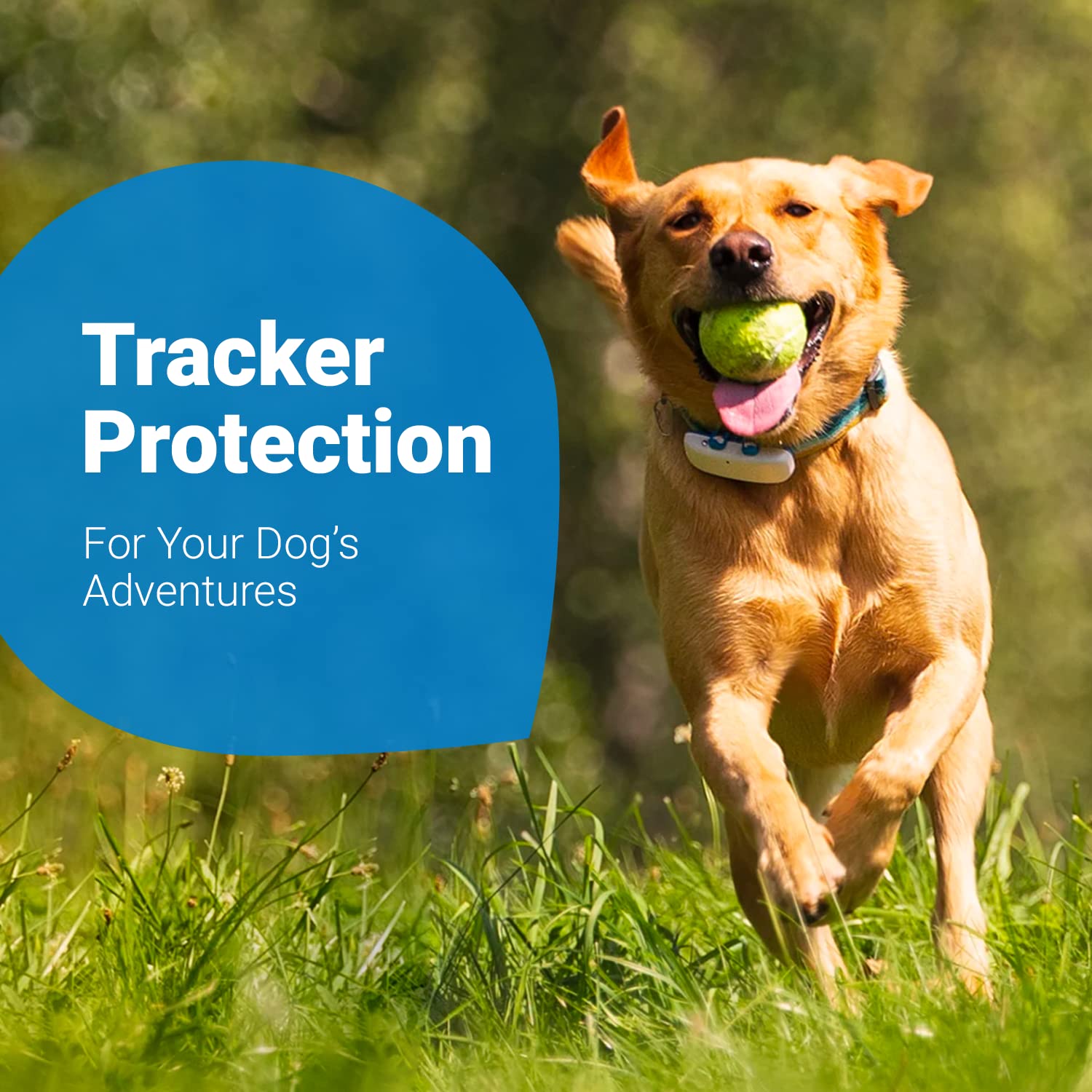 Tractive Gps Dog Tracker Rubber Attachment Clips (Pack Of 3), Blue, 2.8 Cm