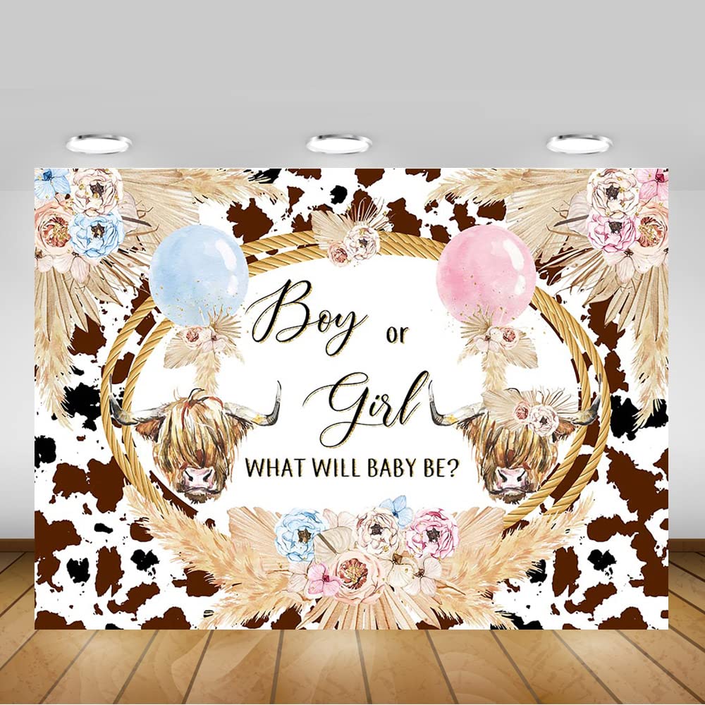 Mocsicka Highland Cow Gender Reveal Backdrop Boho Highland Cow Boy Or Girl Party Decorations Holy Cow Gender Reveal Cake Table B