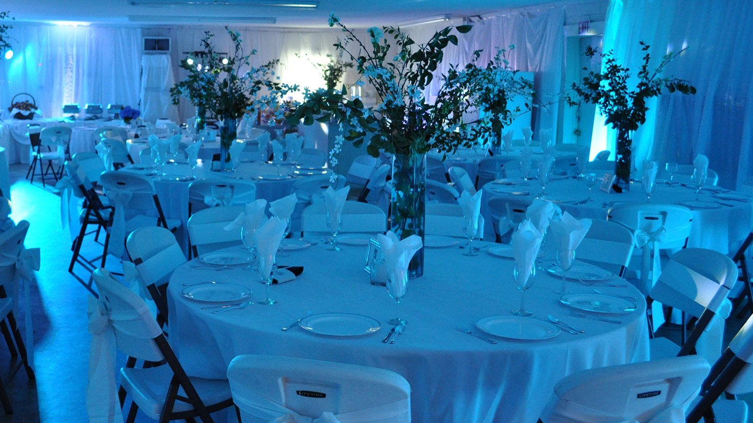 Chauvet Dj Slimpar 56 Led Par Can Wash Light W/Built In And Sound Activated Modes , Black