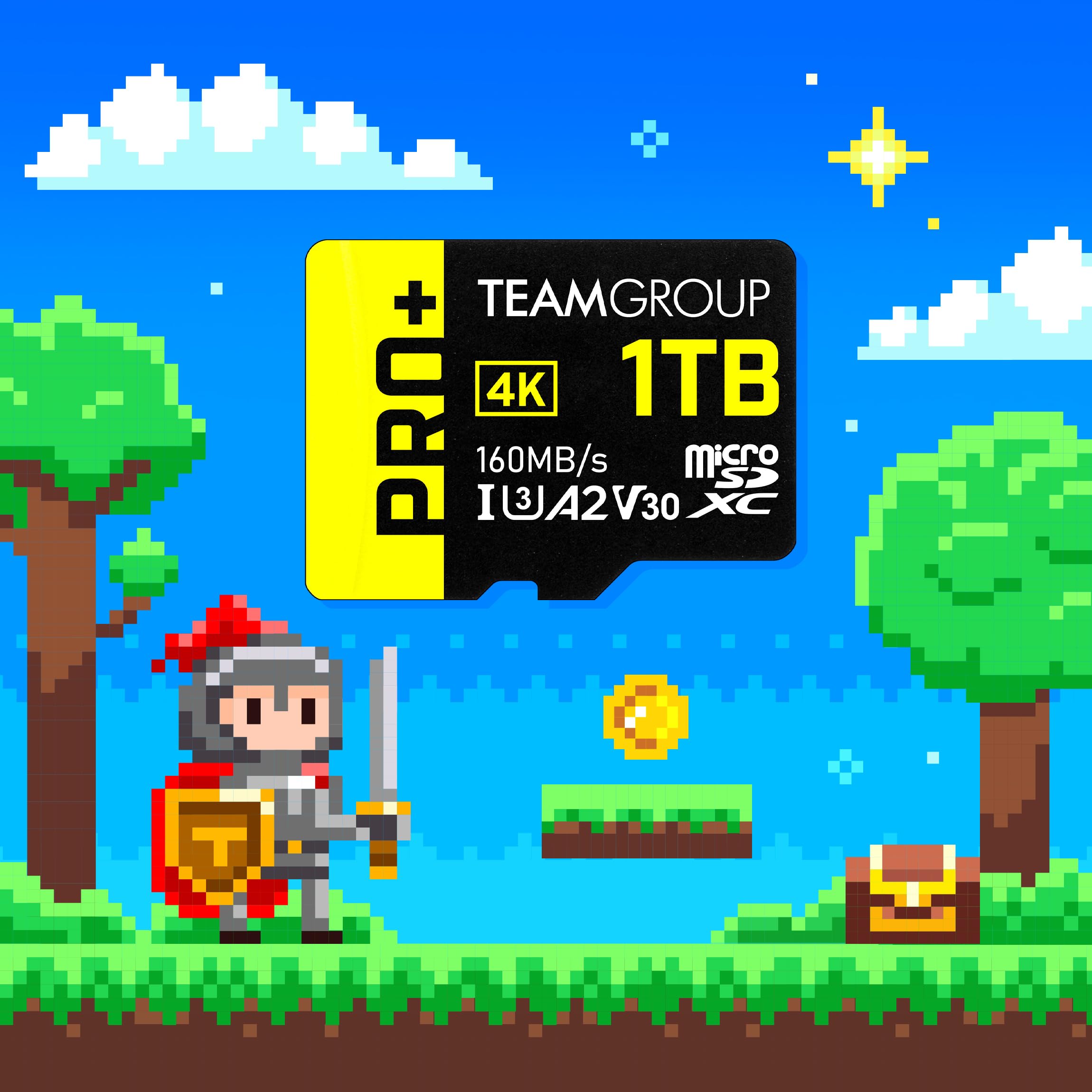 Teamgroup A2 Pro Plus Card 128Gb X 2 Pack Micro Sdxc Uhs I U3 A2 V30, R/W Up To 160/110 Mb/S For Nintendo Switch, Gaming Devices, Tablets, Smartphones,4K Shooting, With Adapter Tppmsdx128Gia2V3064