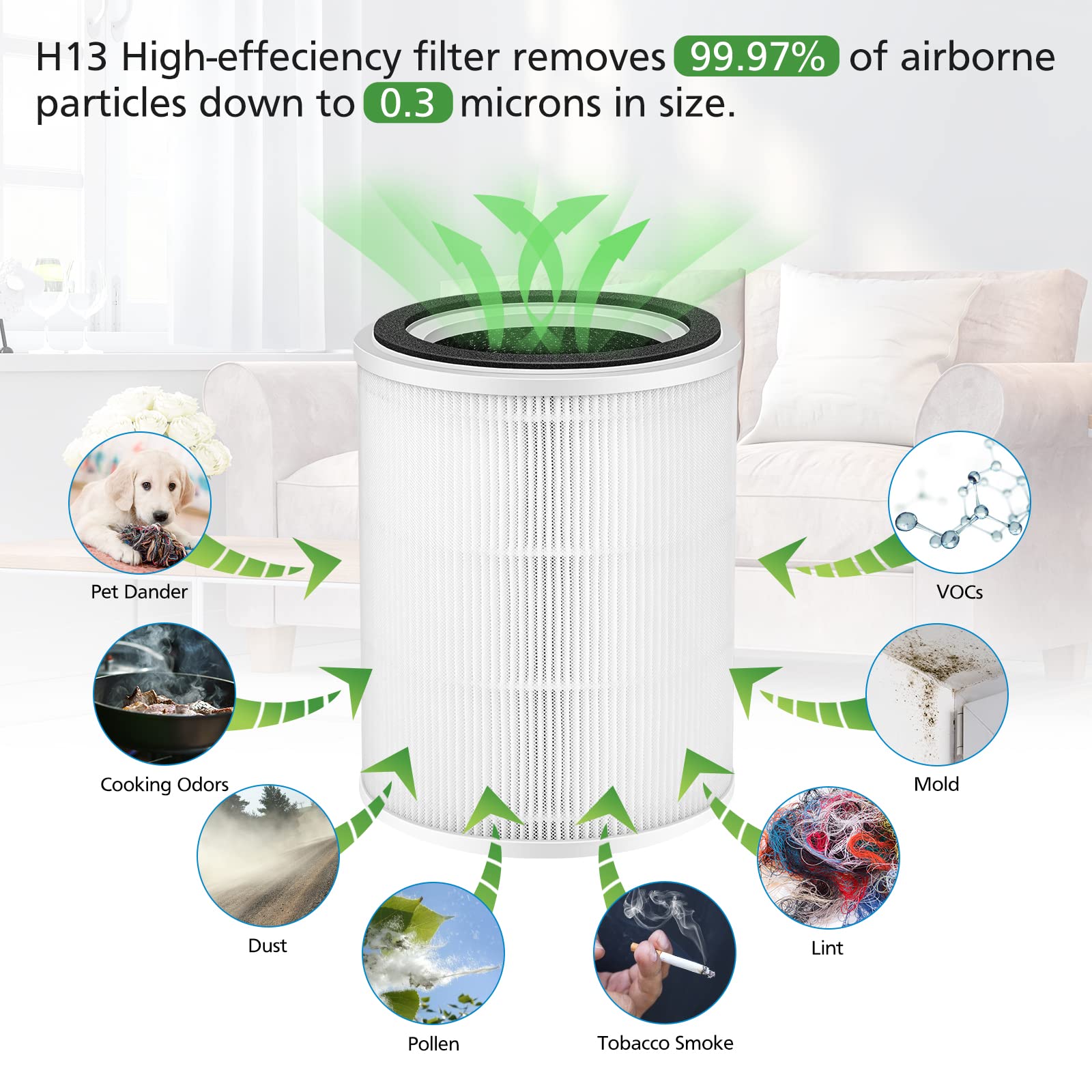 Tpap001 H13 True Hepa Air Filter, Only Compatible With Toppin Tpap001 Comfy Air C2 Air Purifier, H13 True Hepa Filter For Toppin