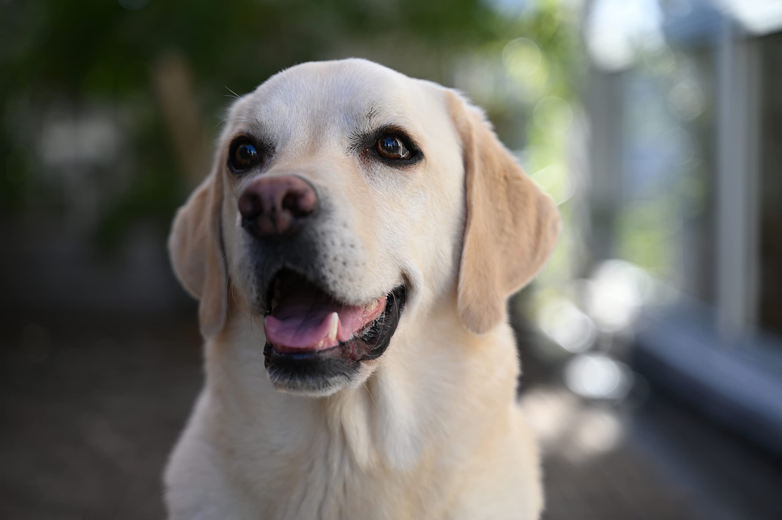 Nikon Nikkor Z 28 75Mm F/2.8 Lens Black