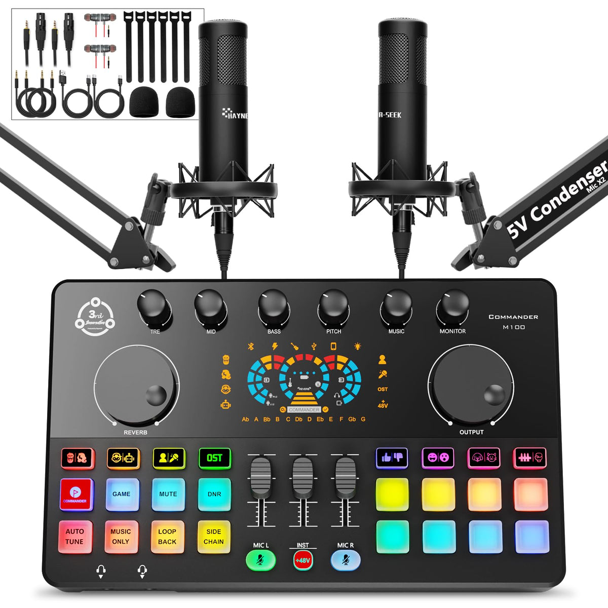 Podcast Equipment Bundle for 2, Audio Interface with Condenser Microph ...