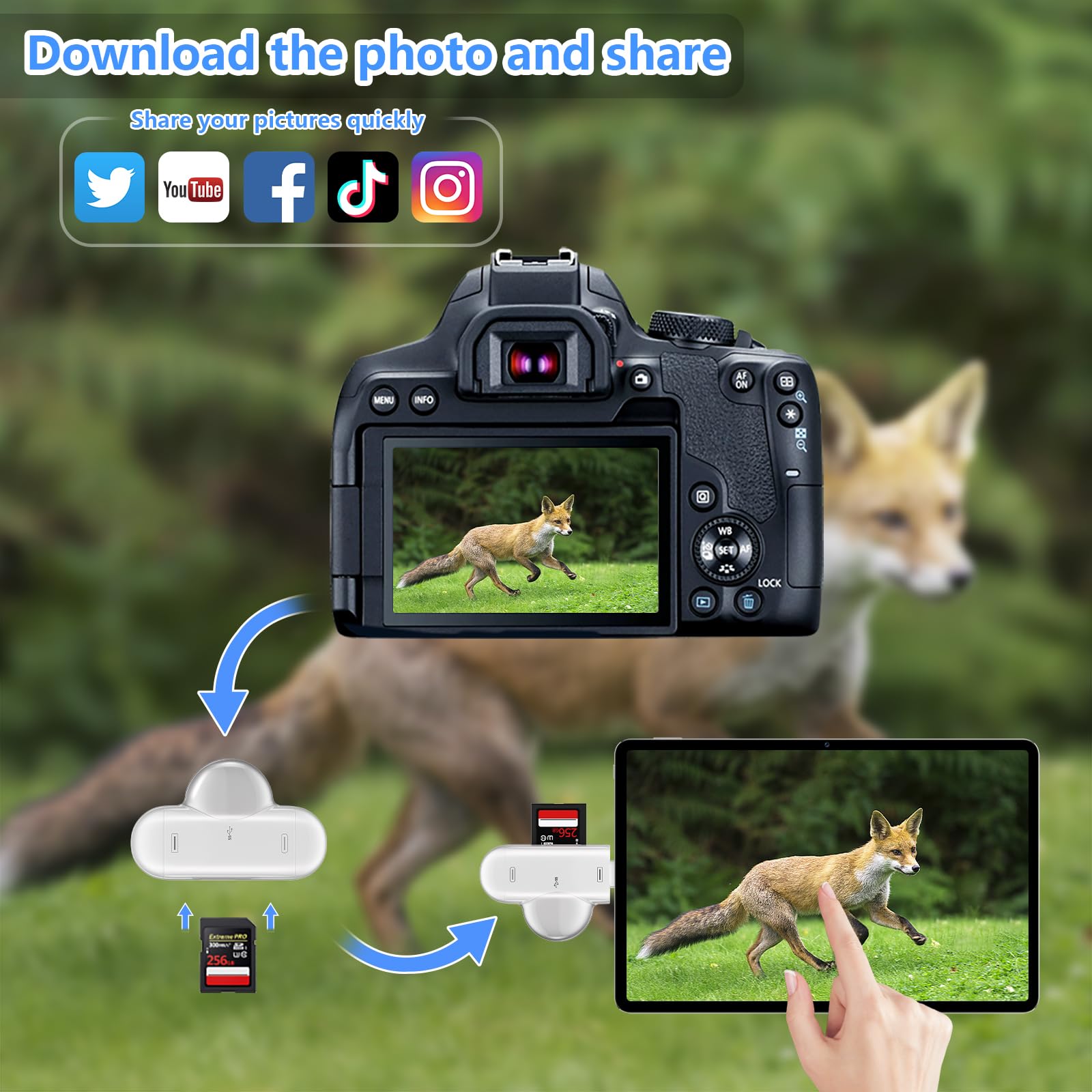 Sd Card Reader For Iphone Ipad Android Mac Computer Camera, 3 In 1 Usb C To Micro Sd Card Reader Trail Camera Viewer,Portable Me