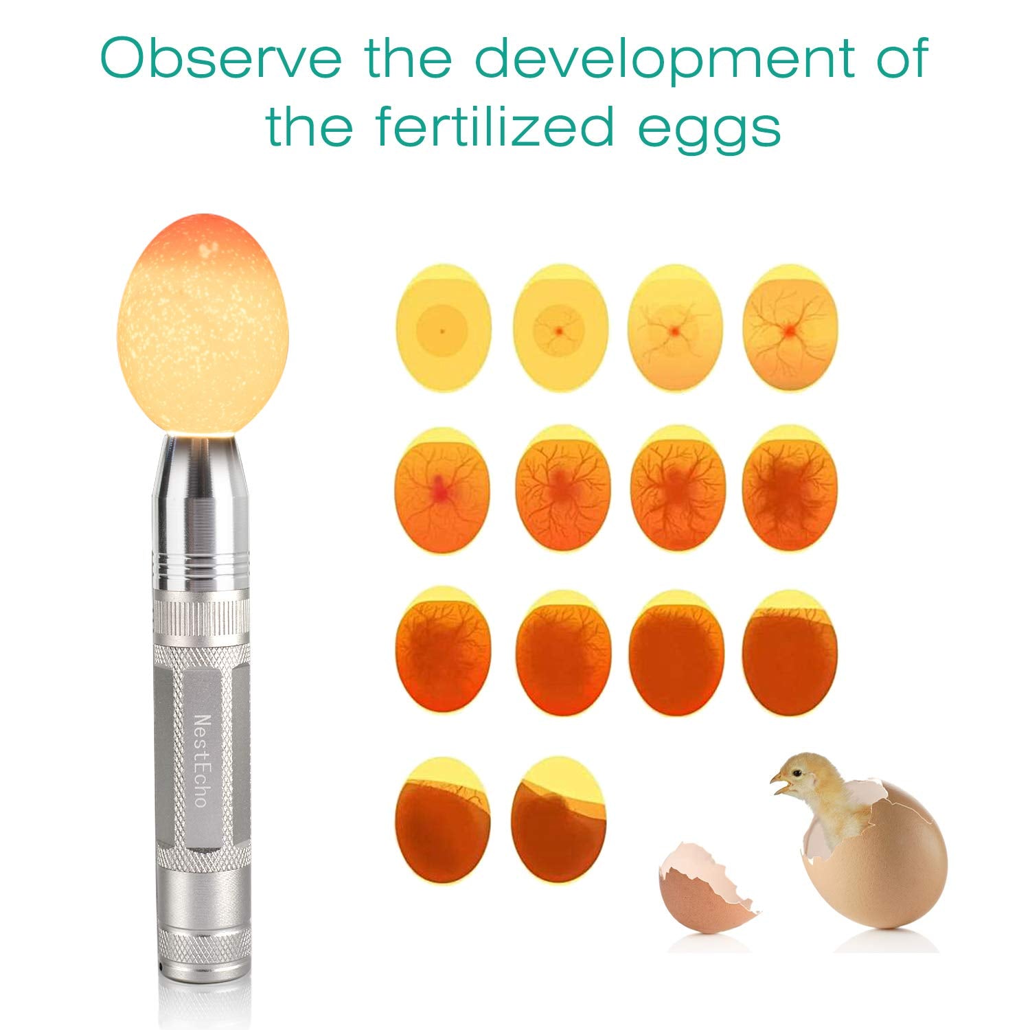 Nestecho Led Light Egg Candler Tester Egg Candler Tester Candling Lamp For All Egg Typ