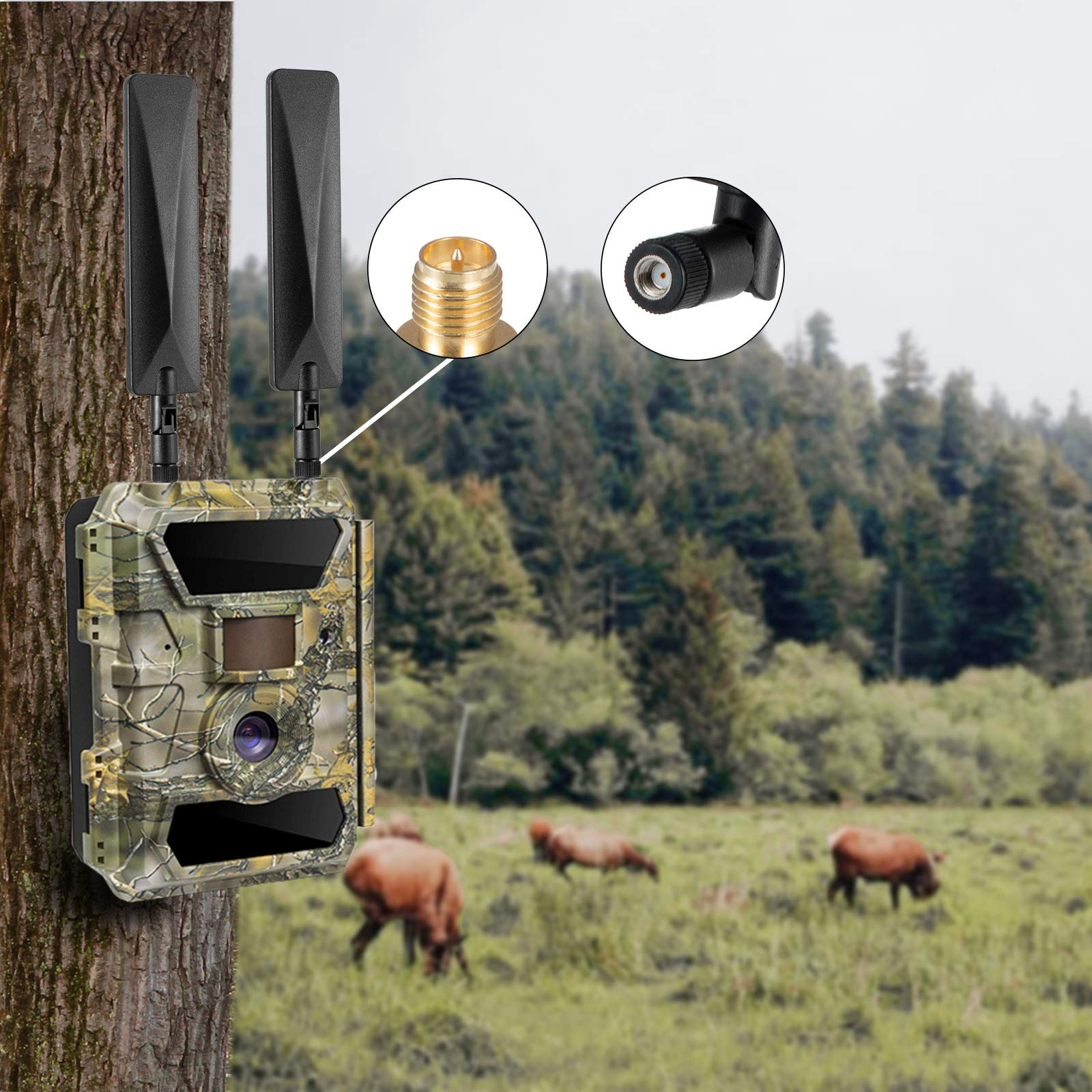 9Dbi Rp Sma Male 3G 4G Lte Cellular Trail Camera Long Range Antenna Compatible With Spypoint Link Micro Link Dark Link S Link Evo Tactacam Stealth Cam Camera Cellular Trail Camera (Pack Of 2)