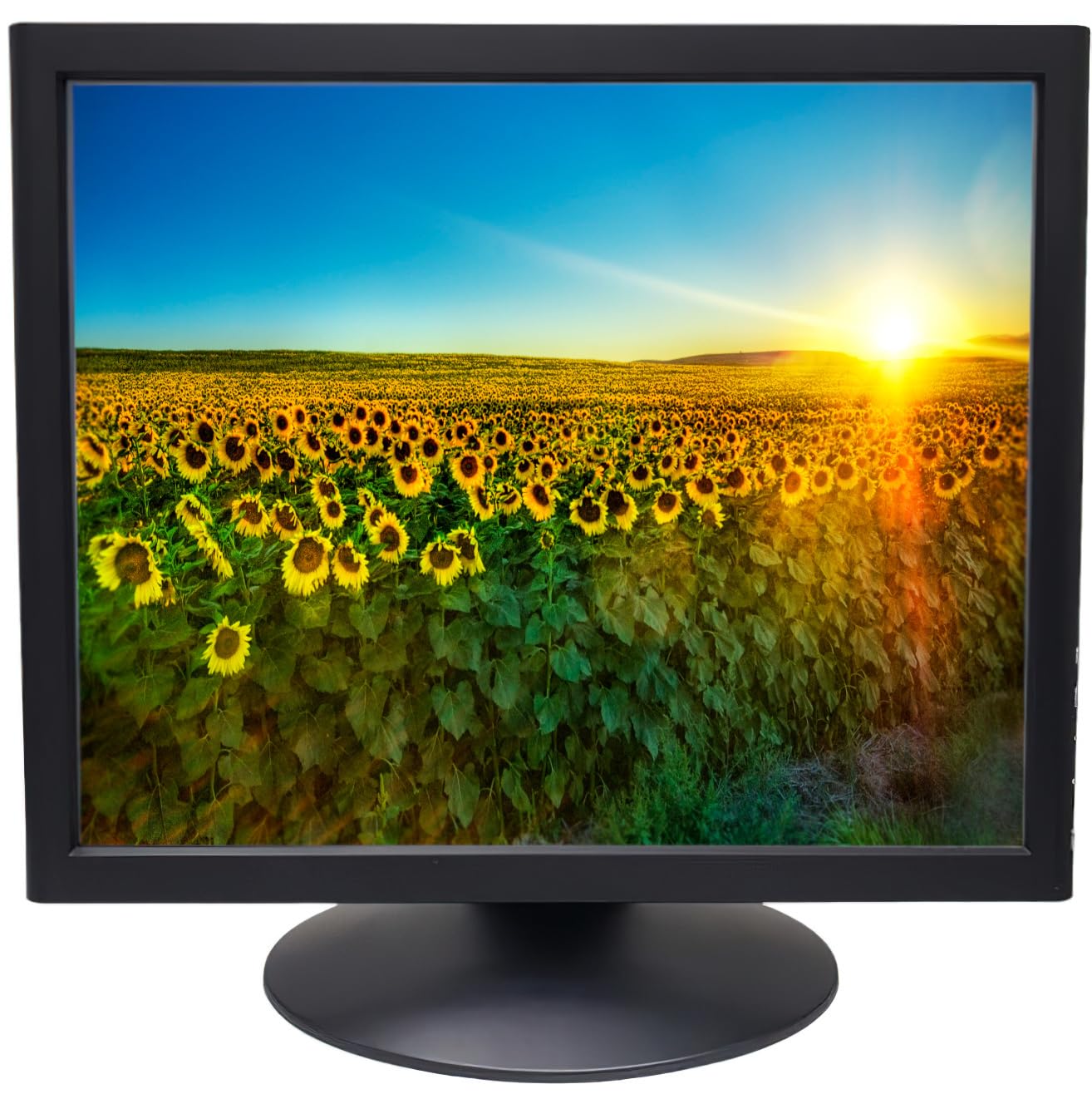 ViewEra V198TP Active TFT LCD 19 Touchscreen Monitor, Black; 1280 x 1024 Max Resolution; VGA, SVGA, and XGA Support; 5-Wire Resi