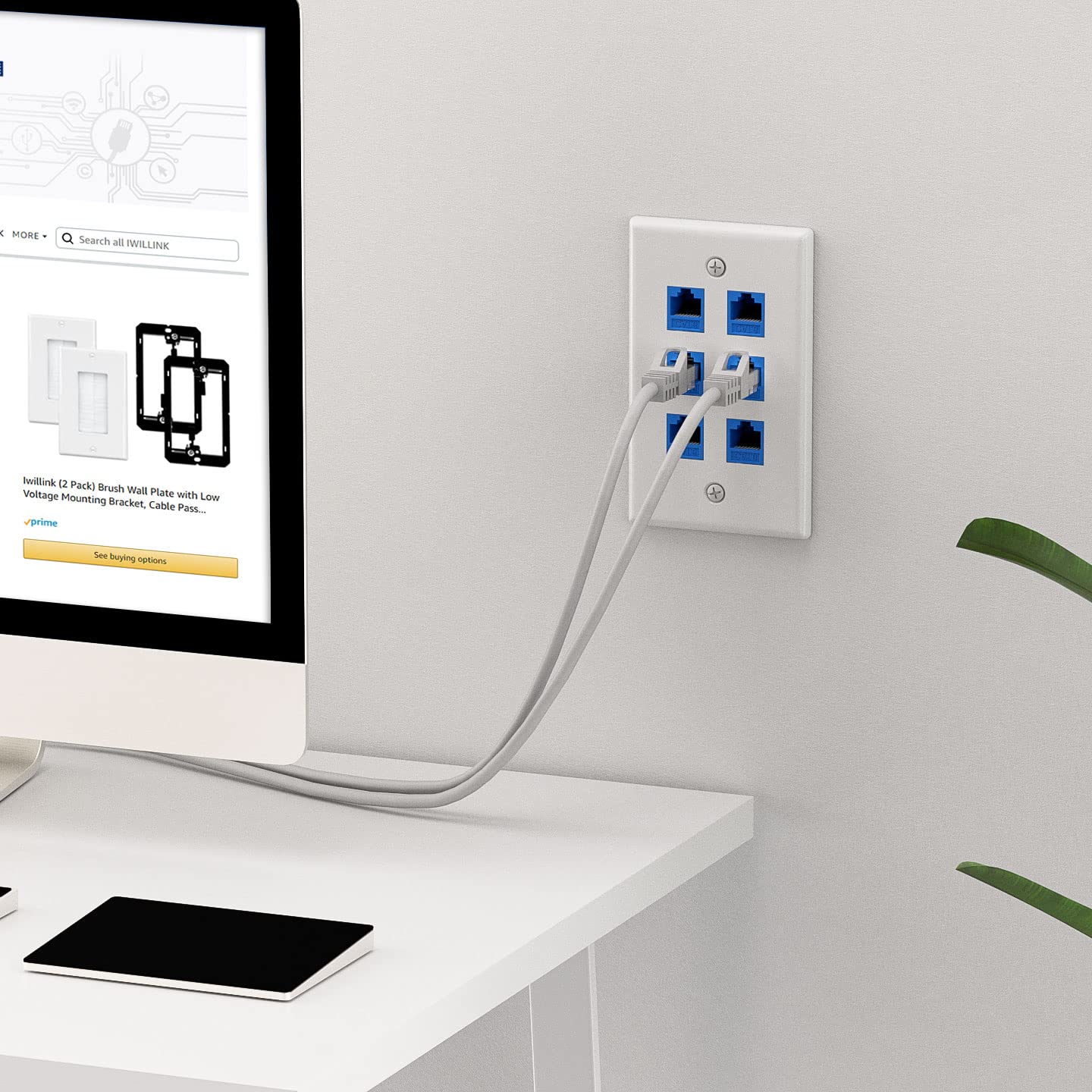 Iwillink (1 Pack) 6 Port Ethernet Wall Plate, Keystone Jack Wall Plate With Rj45 Keystone Inline Coupler Insert, Female To Femal