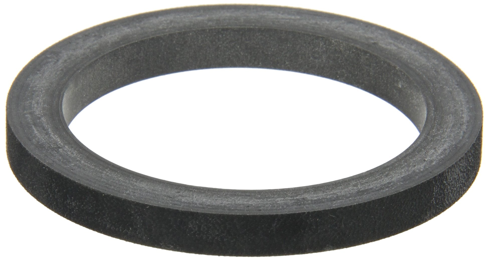 Banjo 200G Epdm Gasket, 2''
