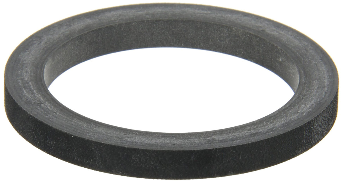 Banjo 200G Epdm Gasket, 2''
