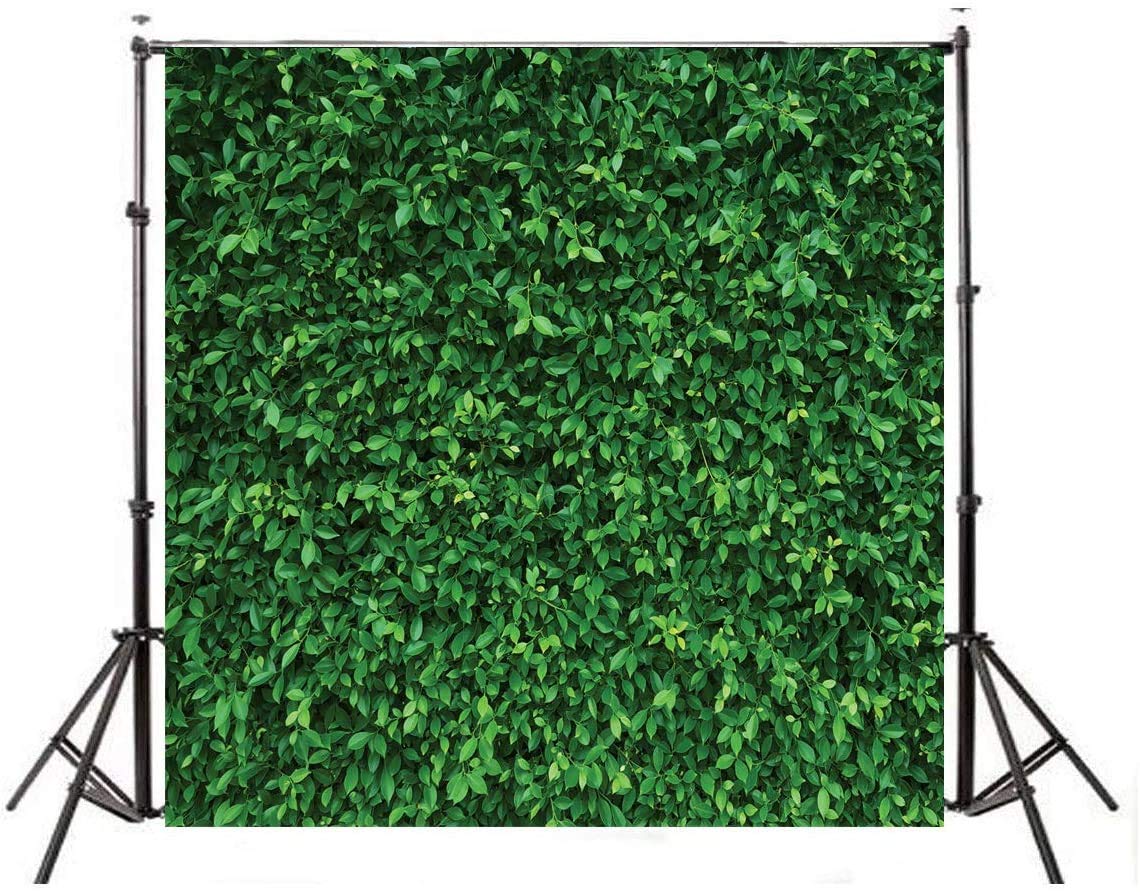 Lywygg 8X8Ft Green Leaves Photography Backdrops Mmicrofiber Nature Backdrop Birthday Background For Birthday Party Seamless Phot