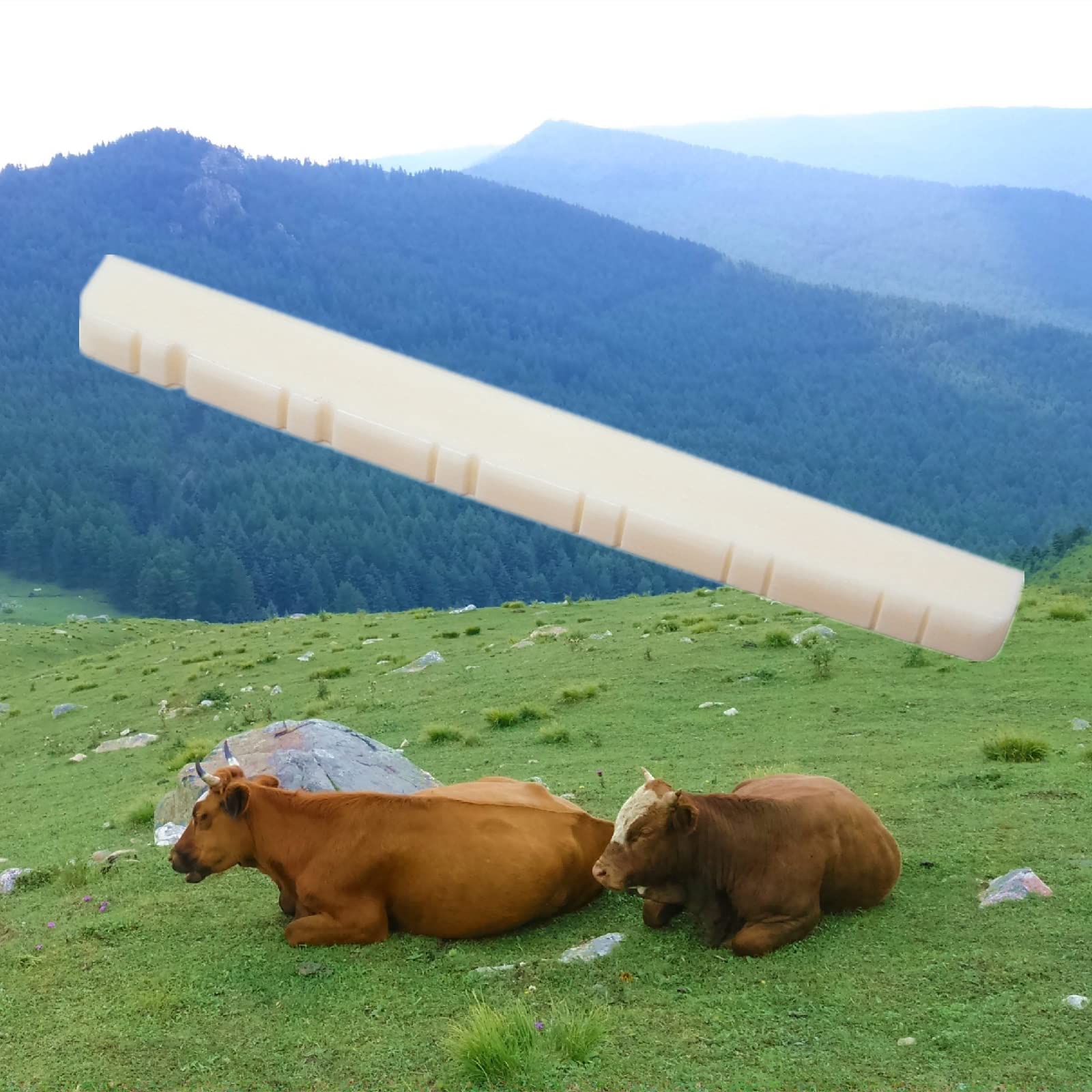 Miwayer 12 String Electric Guitar Bone Nut Flat Bottom Pre Slotted Made Of Real Bone (48 X 3 X 5Mm 1 Pack)