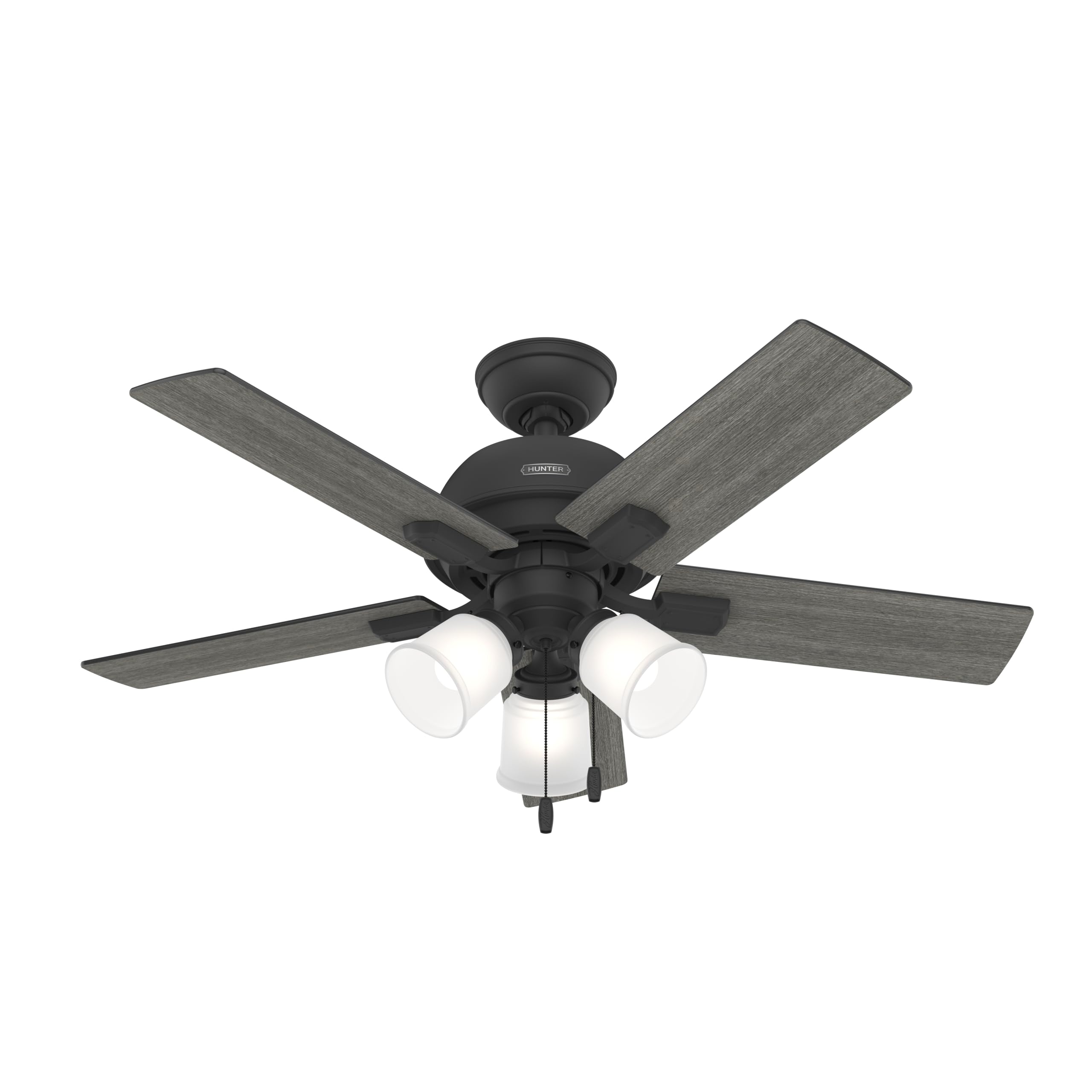 Hunter 44 inch Indoor Ceiling Fan with LED Lights - Black Ceiling Fan with Pull Chain, For Bedroom or Living Room, Standard Moun